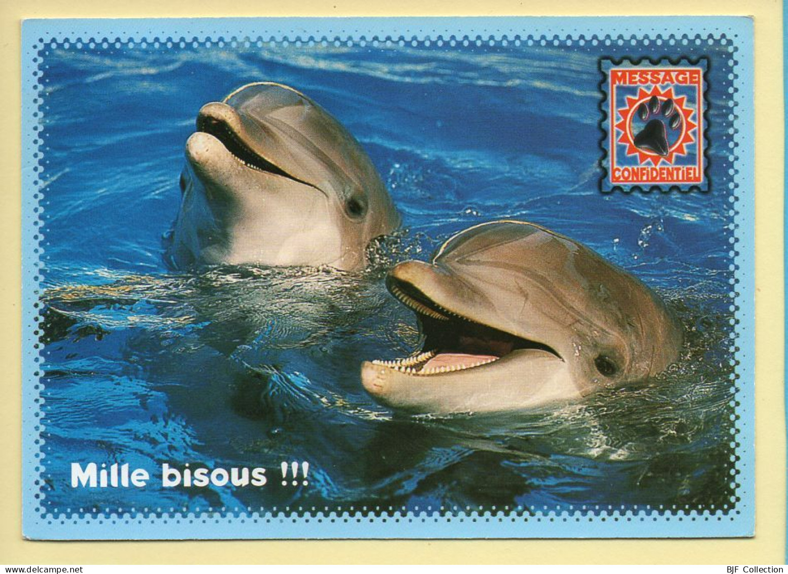 Animaux : Dauphins / 2 Dauphins / Mille Bisous !!! (voir Scan Recto/verso) - Delphine