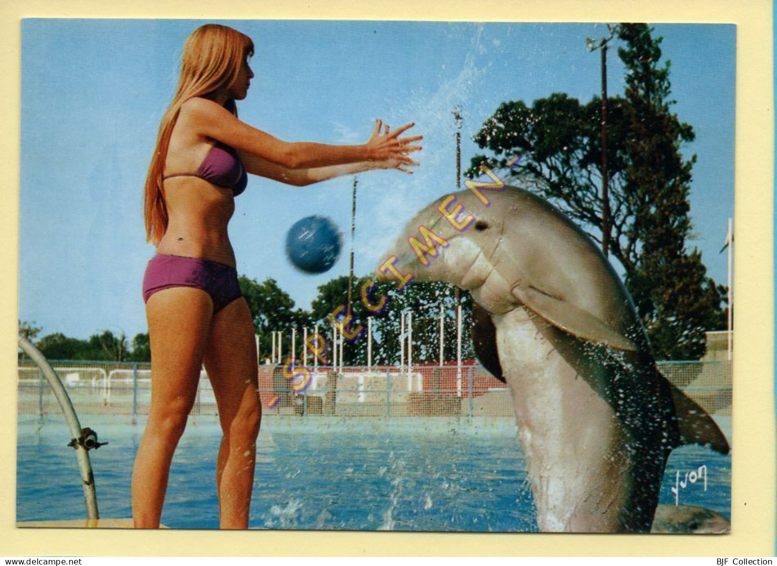 Animaux : Dauphins / Les Dauphins Du Marineland (voir Scan Recto/verso) - Delfines