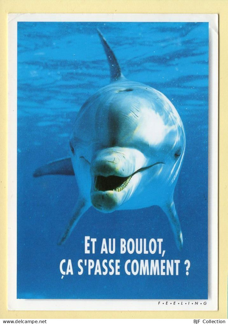 Animaux : Dauphins / Et Au Boulot ça S'passe Comment ? /Zone Bleue / Carte Humoristique - Delphine