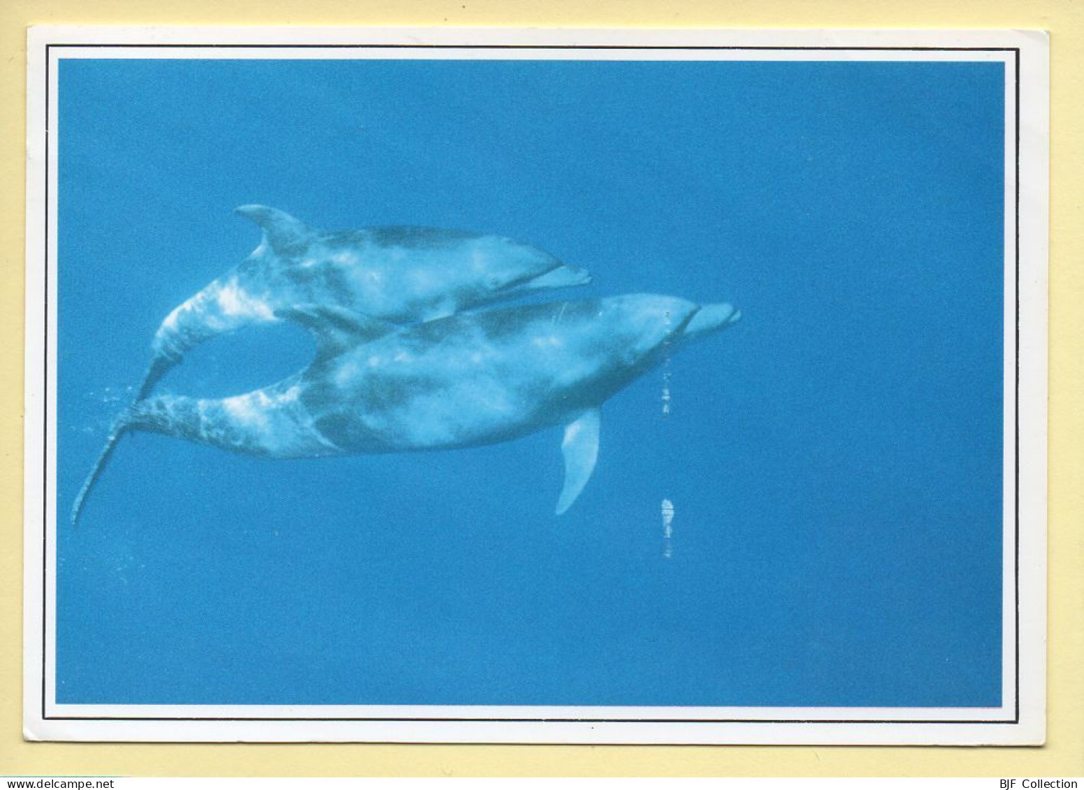 Animaux : Dauphins / 2 Dauphins / Pas De Deux (voir Scan Recto/verso) - Delphine