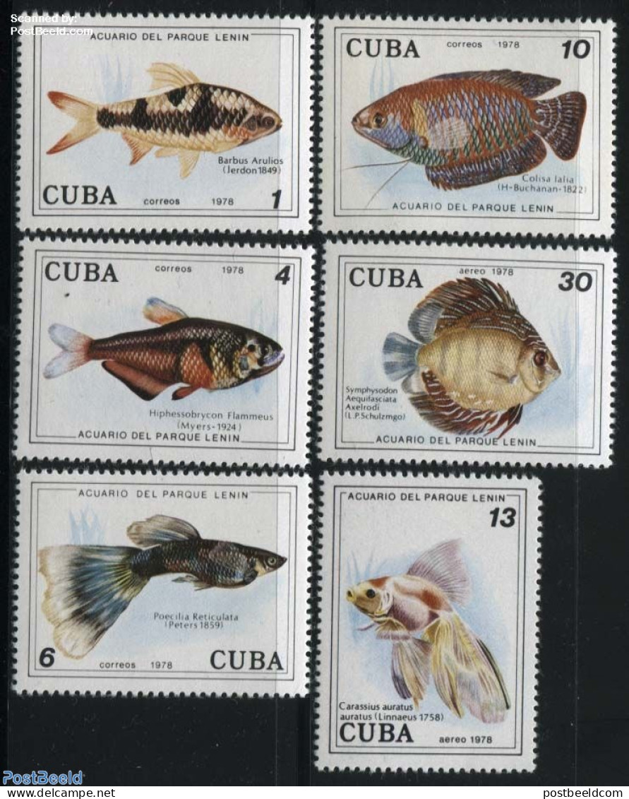 Cuba 1978 Aquarium Fish 6v, Mint NH, Nature - Fish - Unused Stamps