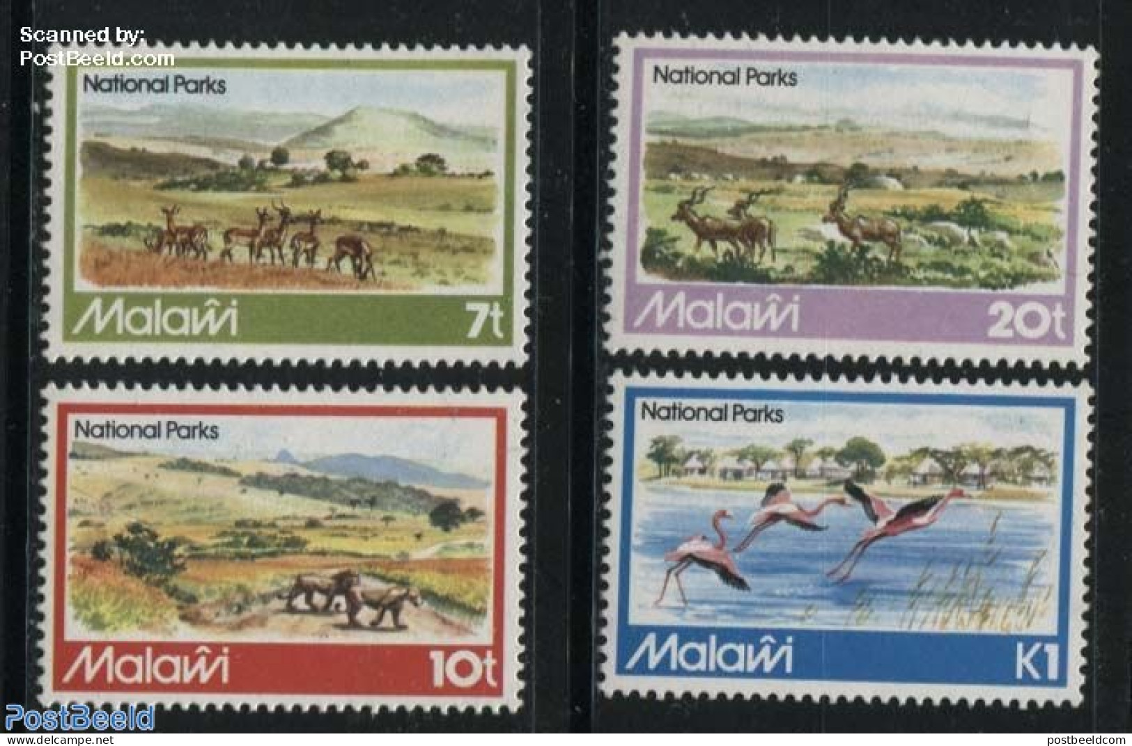 Malawi 1982 National Parks 4v, Mint NH, Nature - Animals (others & Mixed) - Birds - Cat Family - National Parks - Flam.. - Natur