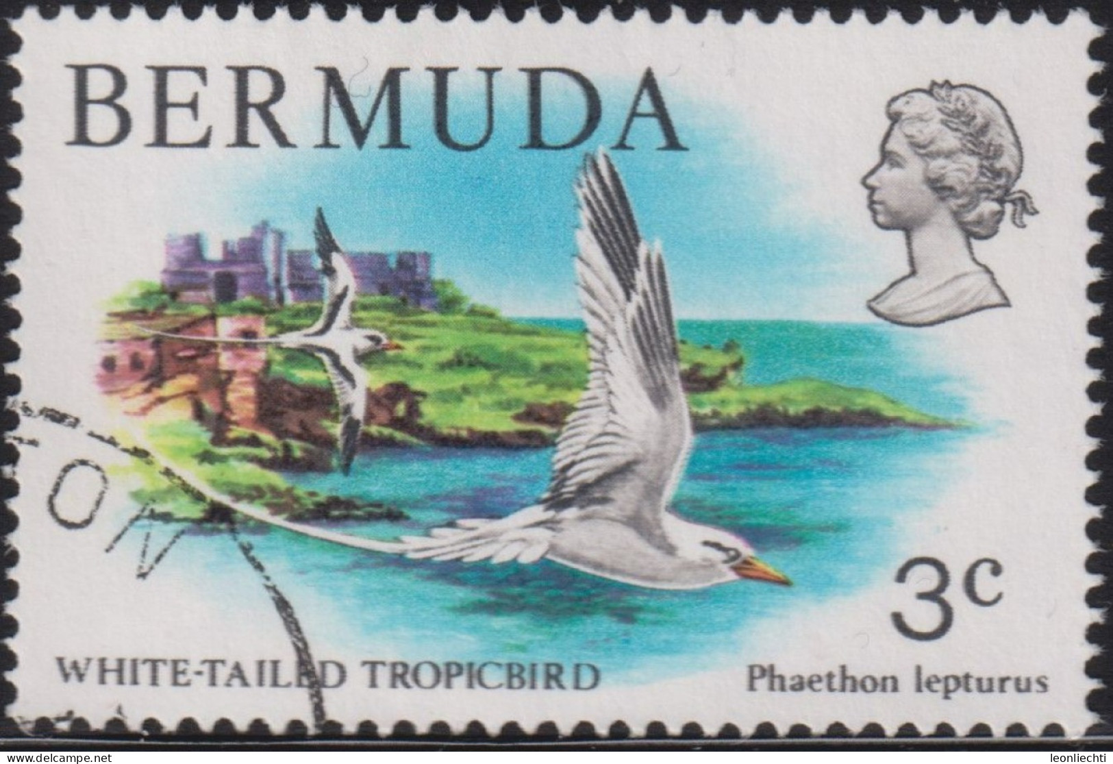 1978 Bermuda ° Mi:BM 352, Sn:BM 363, Yt:BM 353, Sg:BM 387, White-tailed Tropicbird (Phaethon Lepturus) - Bermudes