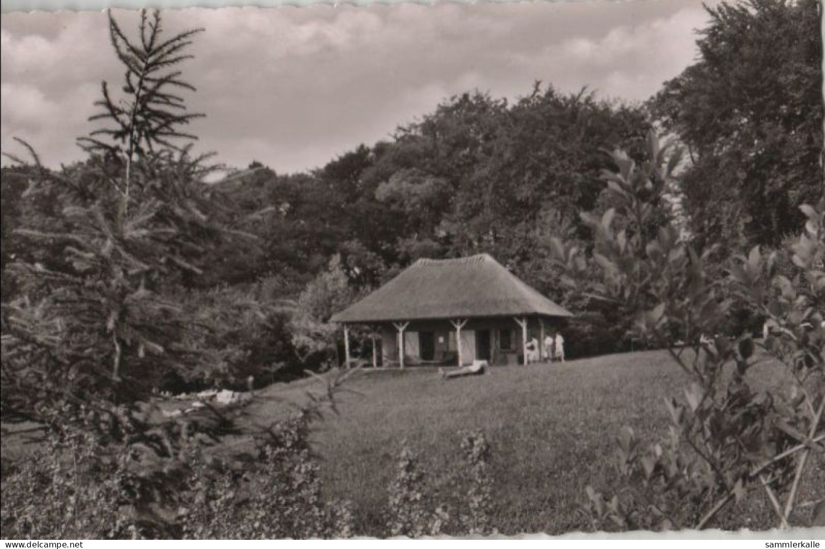 57199 - Bad Nenndorf - Liegewiese - 1958 - Bad Nenndorf