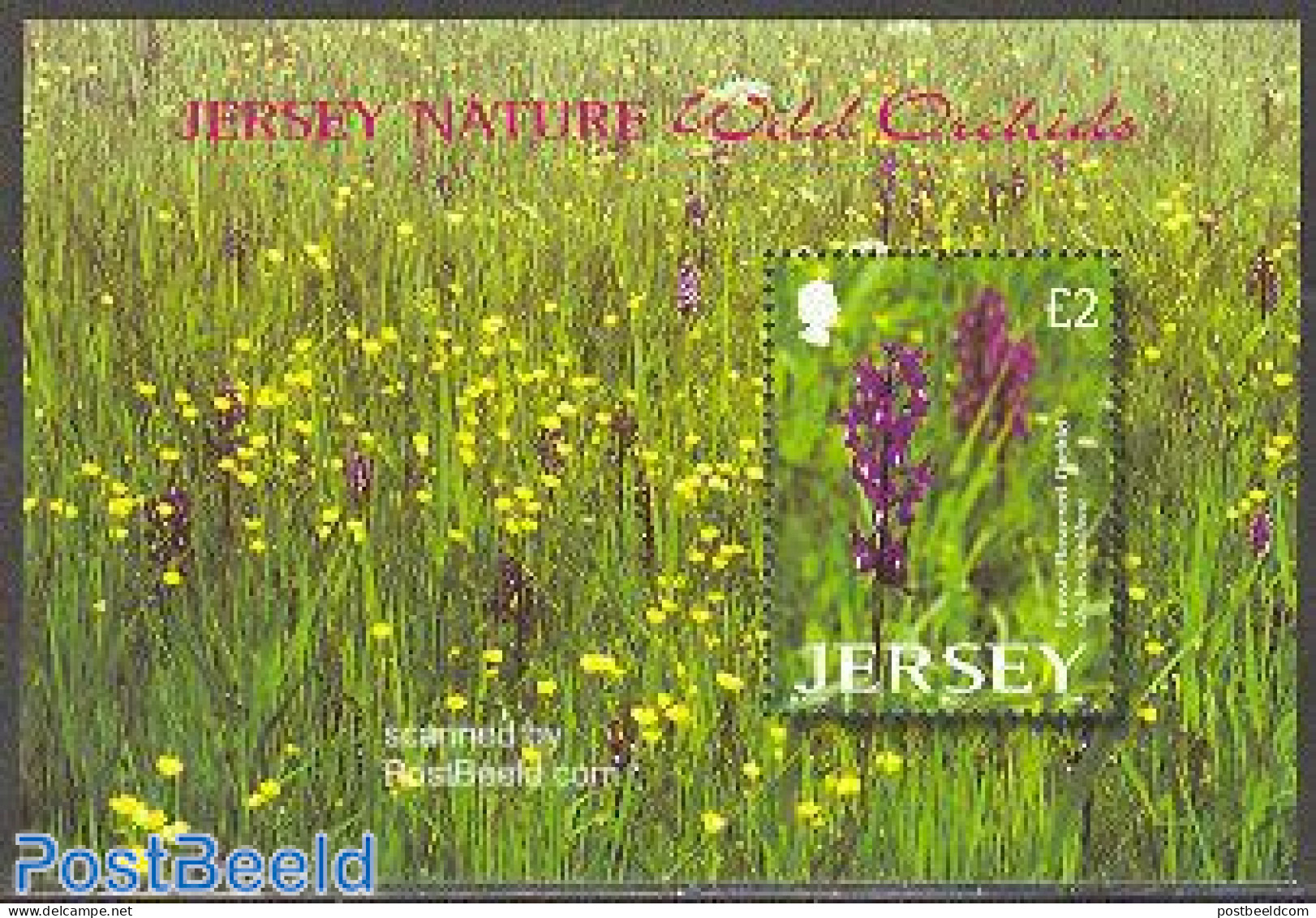 Jersey 2003 Wild Orchids S/s, Mint NH, Nature - Flowers & Plants - Orchids - Jersey
