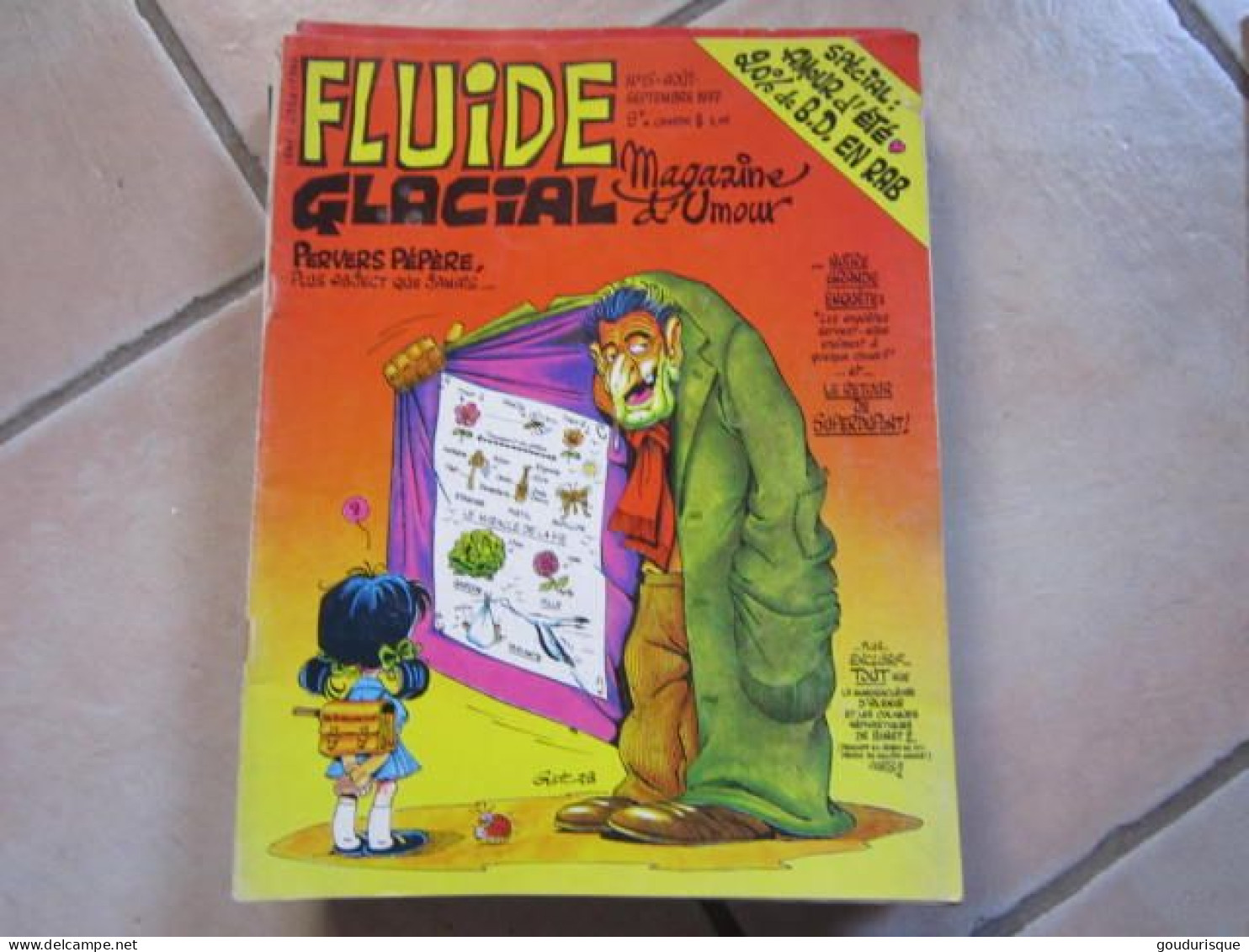 FLUIDE GLACIAL N°15 - Fluide Glacial
