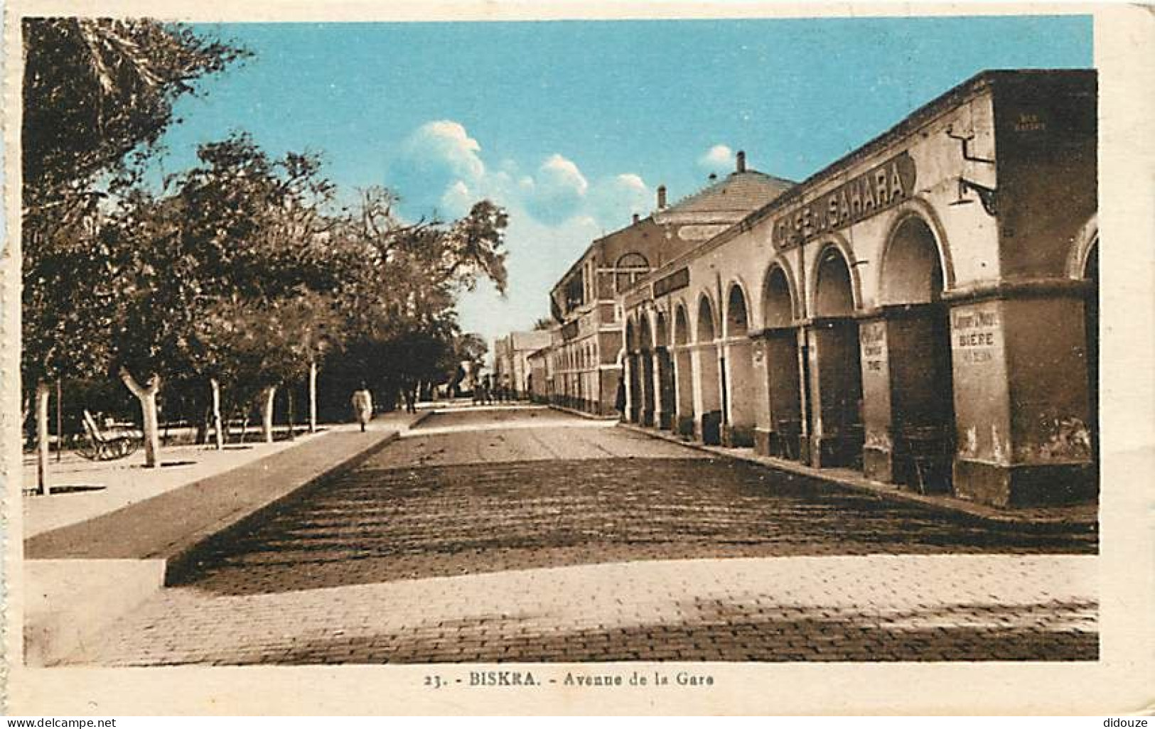 Algérie - Biskra - Avenue De La Gare - Colorisée - CPA - Voir Scans Recto-Verso - Biskra