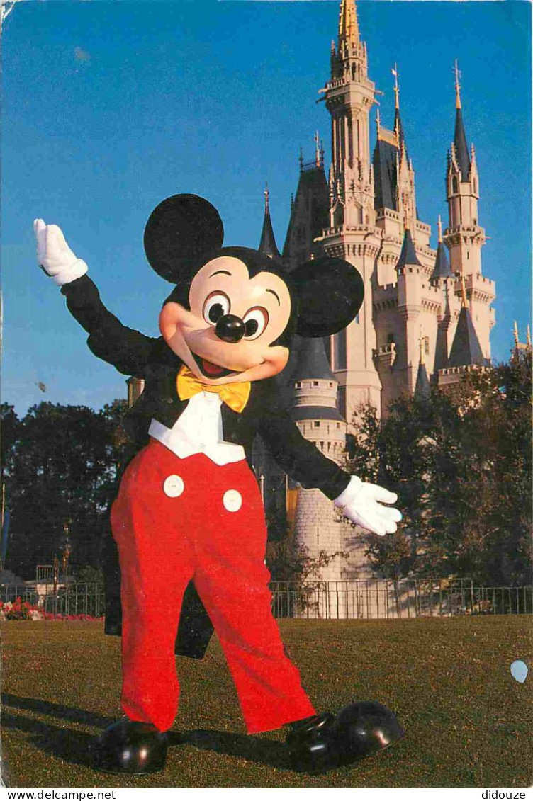 Parc D'Attractions - Walt Disney World Orlando - Fantasyland - Cinderella Castle - Mickey - CPM - Voir Scans Recto-Verso - Disneyworld