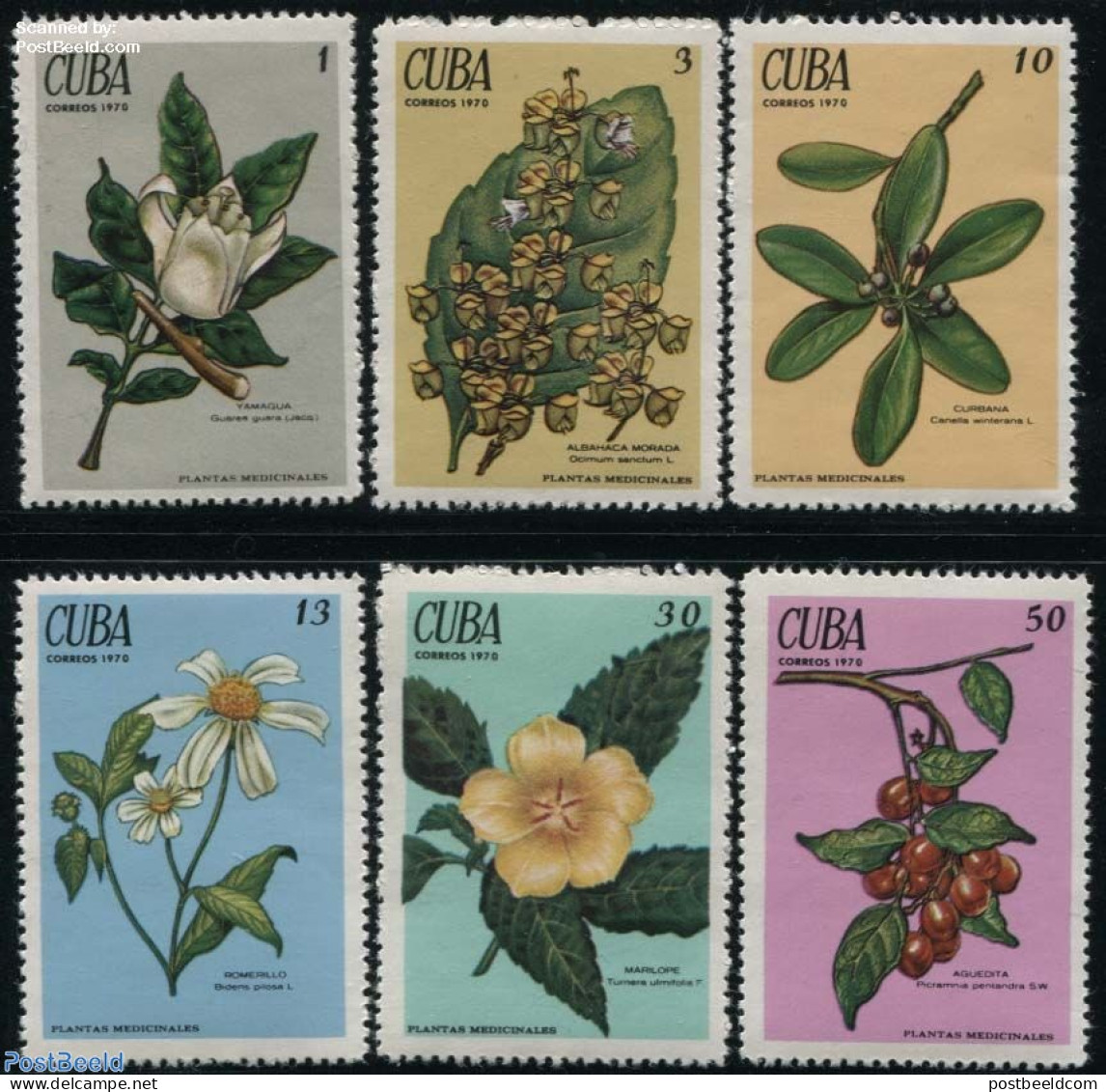 Cuba 1970 Medical Plants 6v, Mint NH, Health - Nature - Health - Flowers & Plants - Neufs