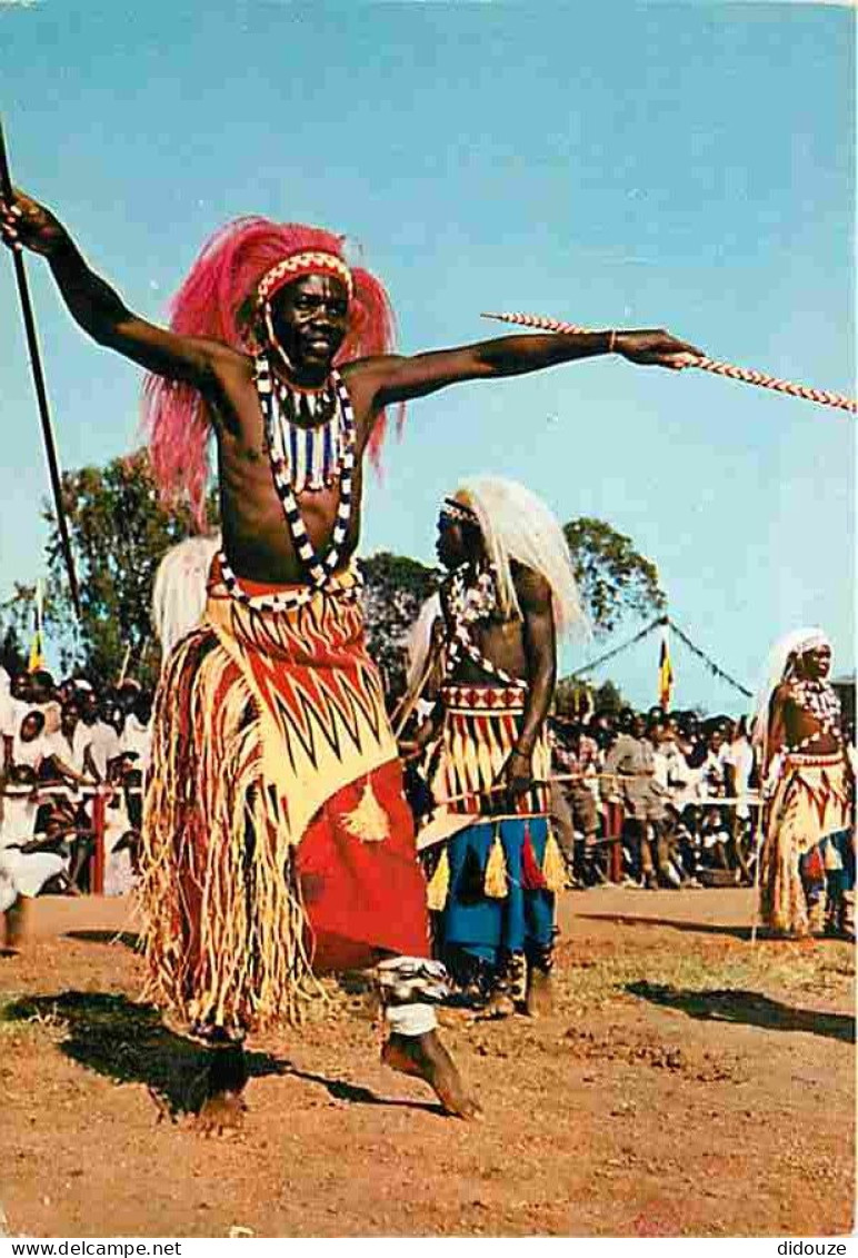 Afrique - L'Afrique En Couleurs - Danseurs Africains - CPM - Voir Scans Recto-Verso - Non Classificati