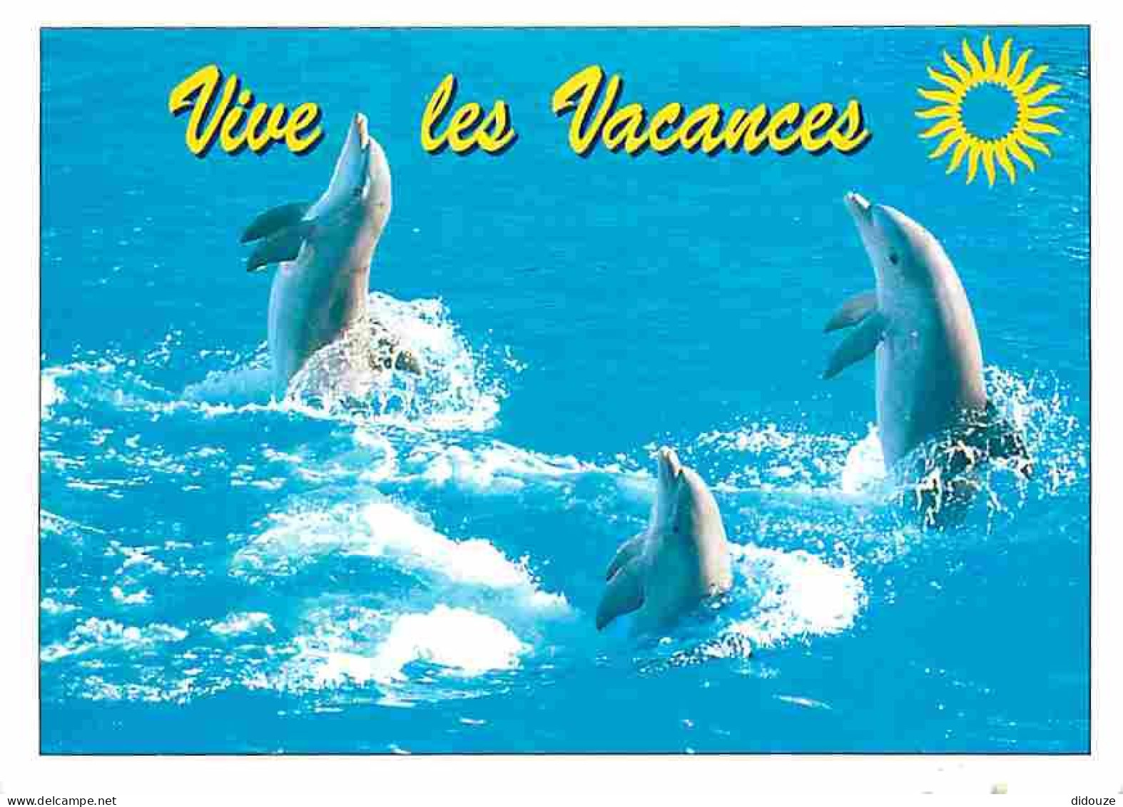 Animaux - Dauphins - CPM - Voir Scans Recto-Verso - Dolfijnen