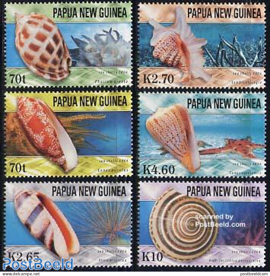 Papua New Guinea 2004 Shells 6v, Mint NH, Nature - Shells & Crustaceans - Maritiem Leven