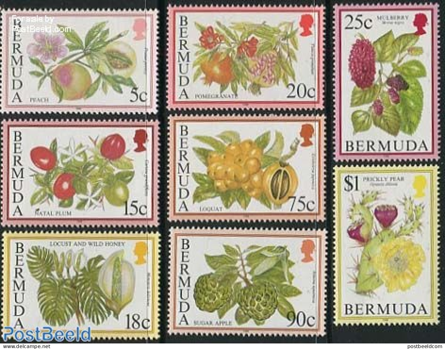 Bermuda 1998 Fruits 8v (with Year 1998), Mint NH, Nature - Fruit - Fruits