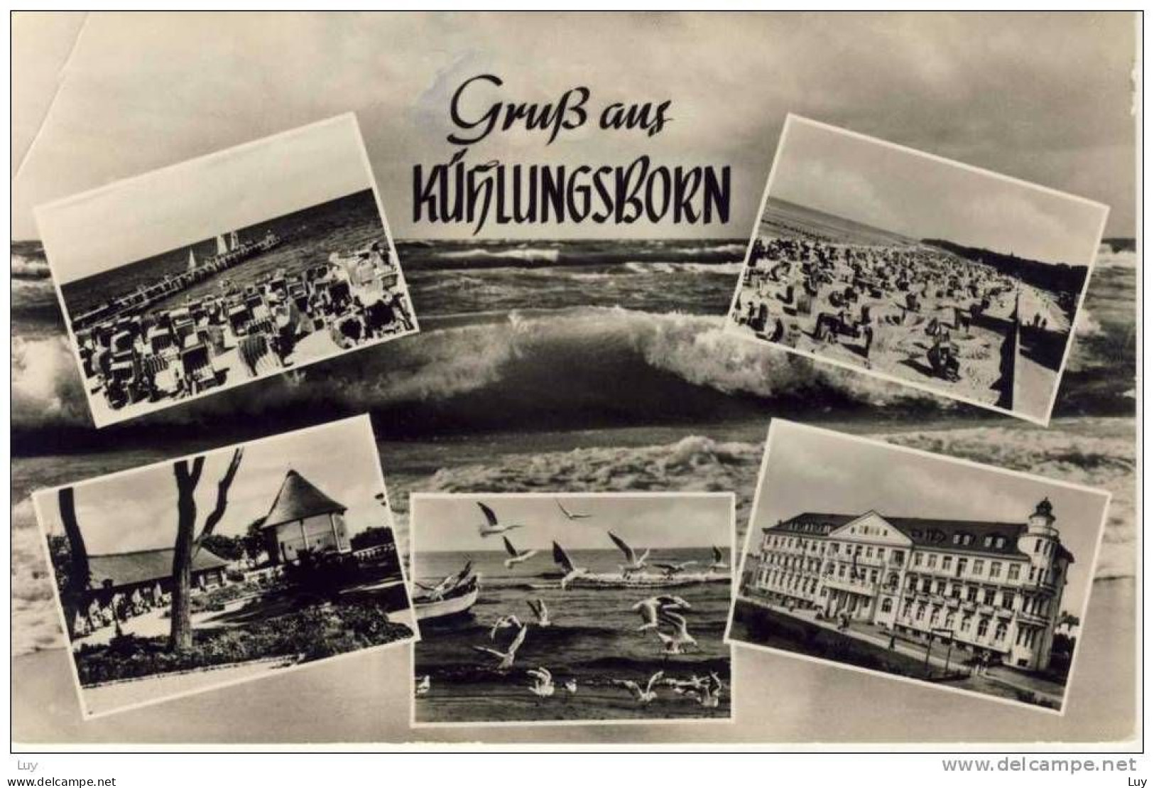 KÜHLUNGSBORN. Mehrfachansicht, Strand, Möwen, Echte Photographie AK, RPPC - Gruss Aus  Ostseebad - Kuehlungsborn