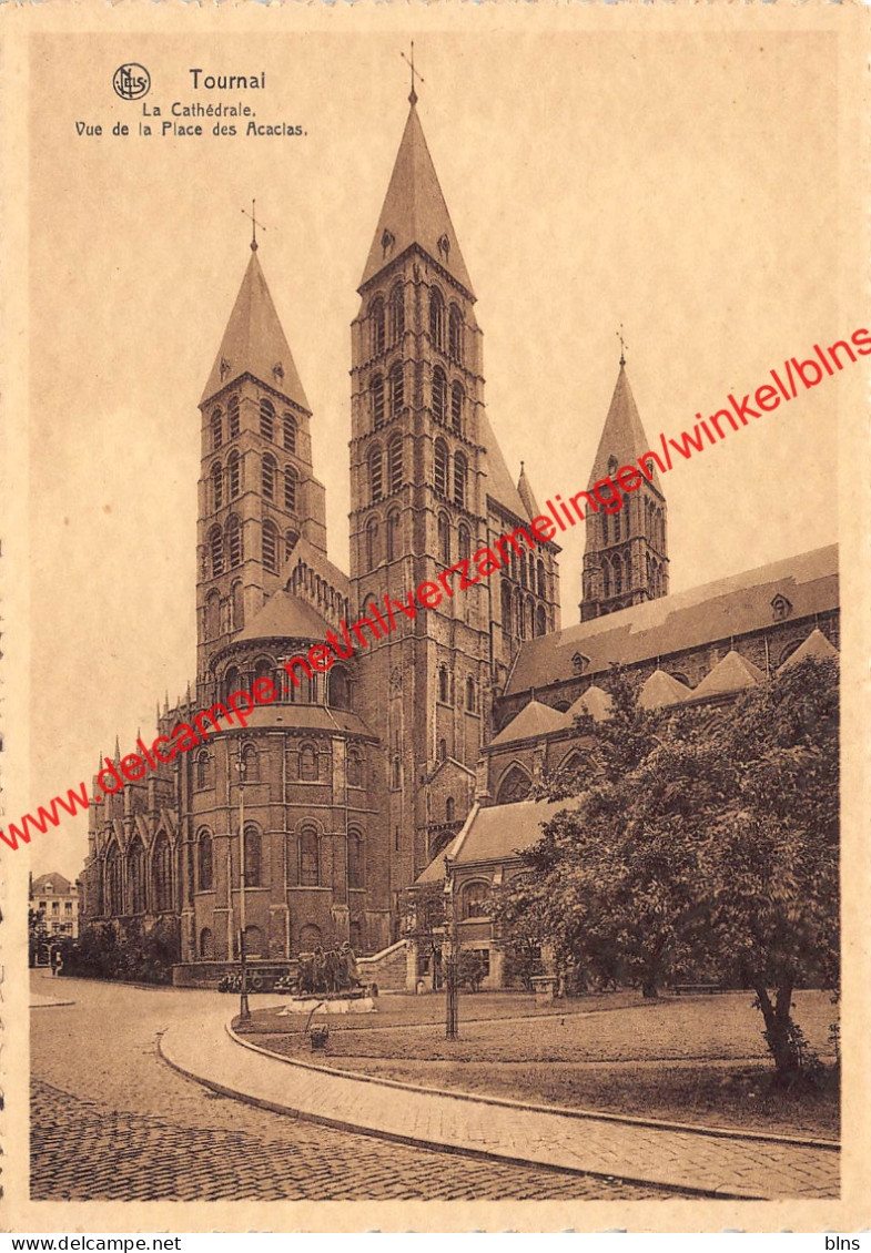 La Cathédrale - Tournai - Tournai