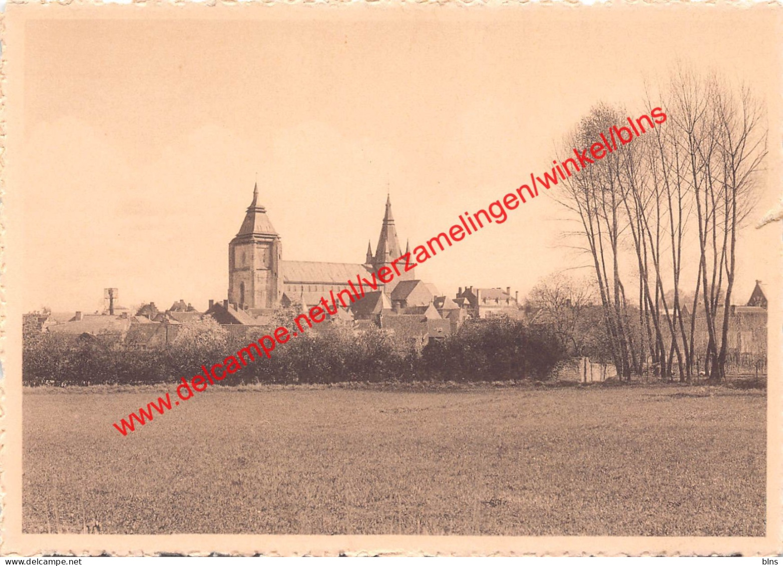 Collégiale S. Vincent - Soignies - Soignies