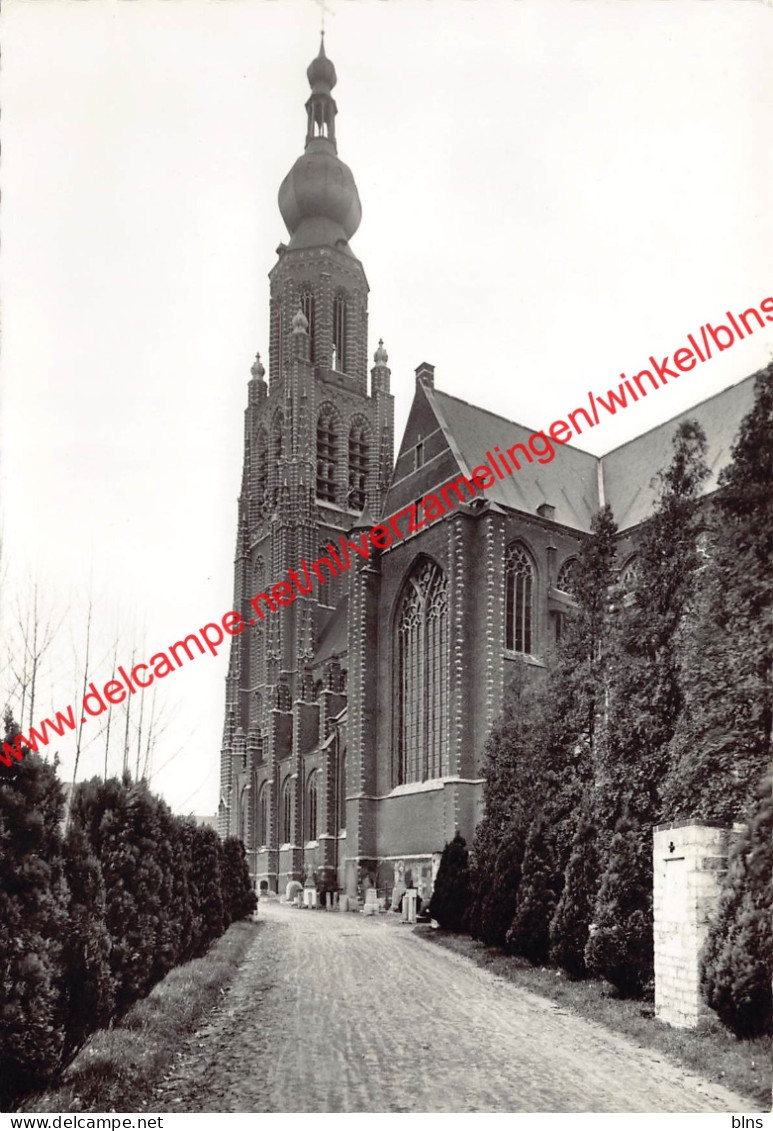 St. Katharinakerk - Hoogstraten - Hoogstraten