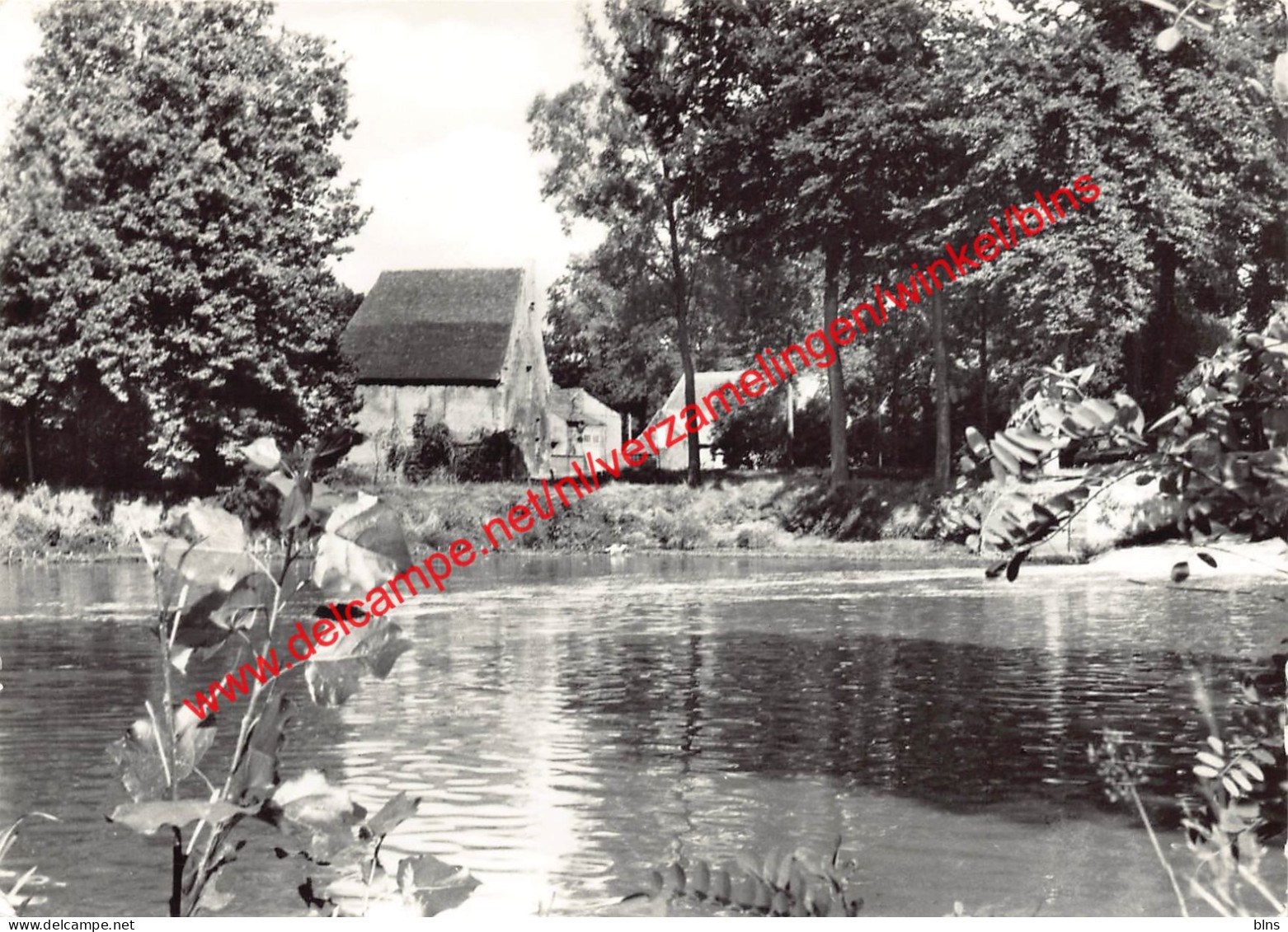 Zicht Op Nete En Watermolen - Grobbendonk - Grobbendonk