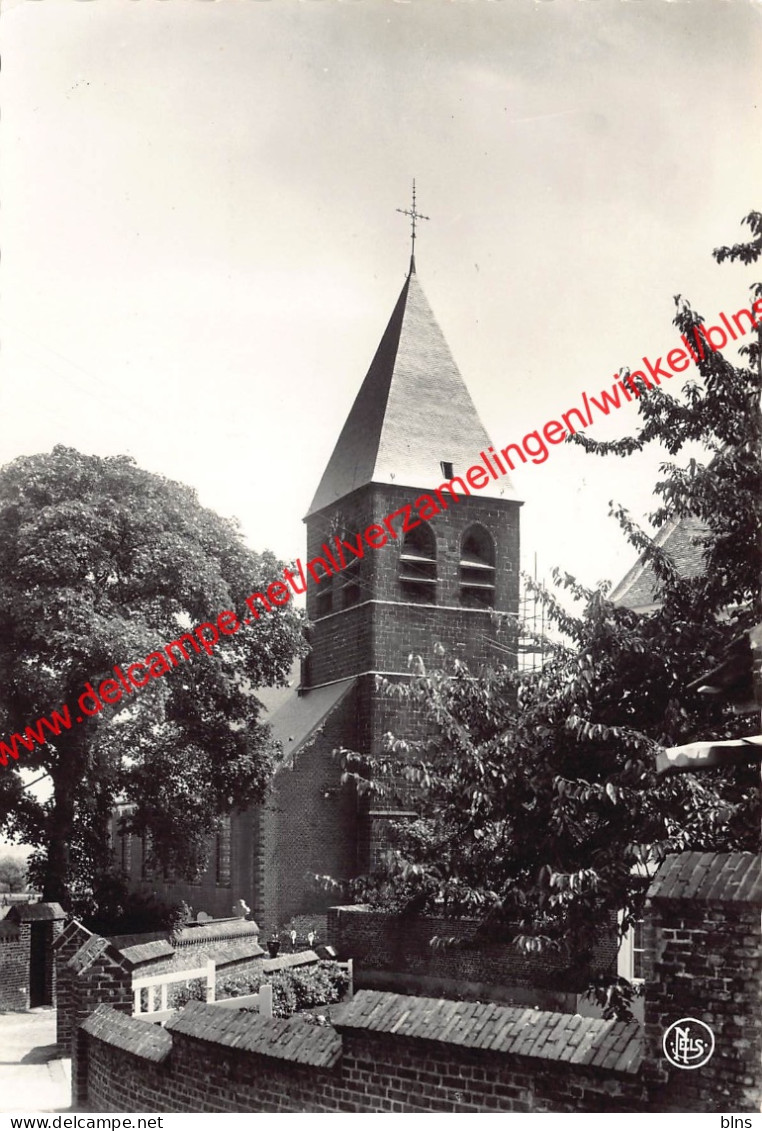 Sint Pieterskerk - Langdorp - Aarschot