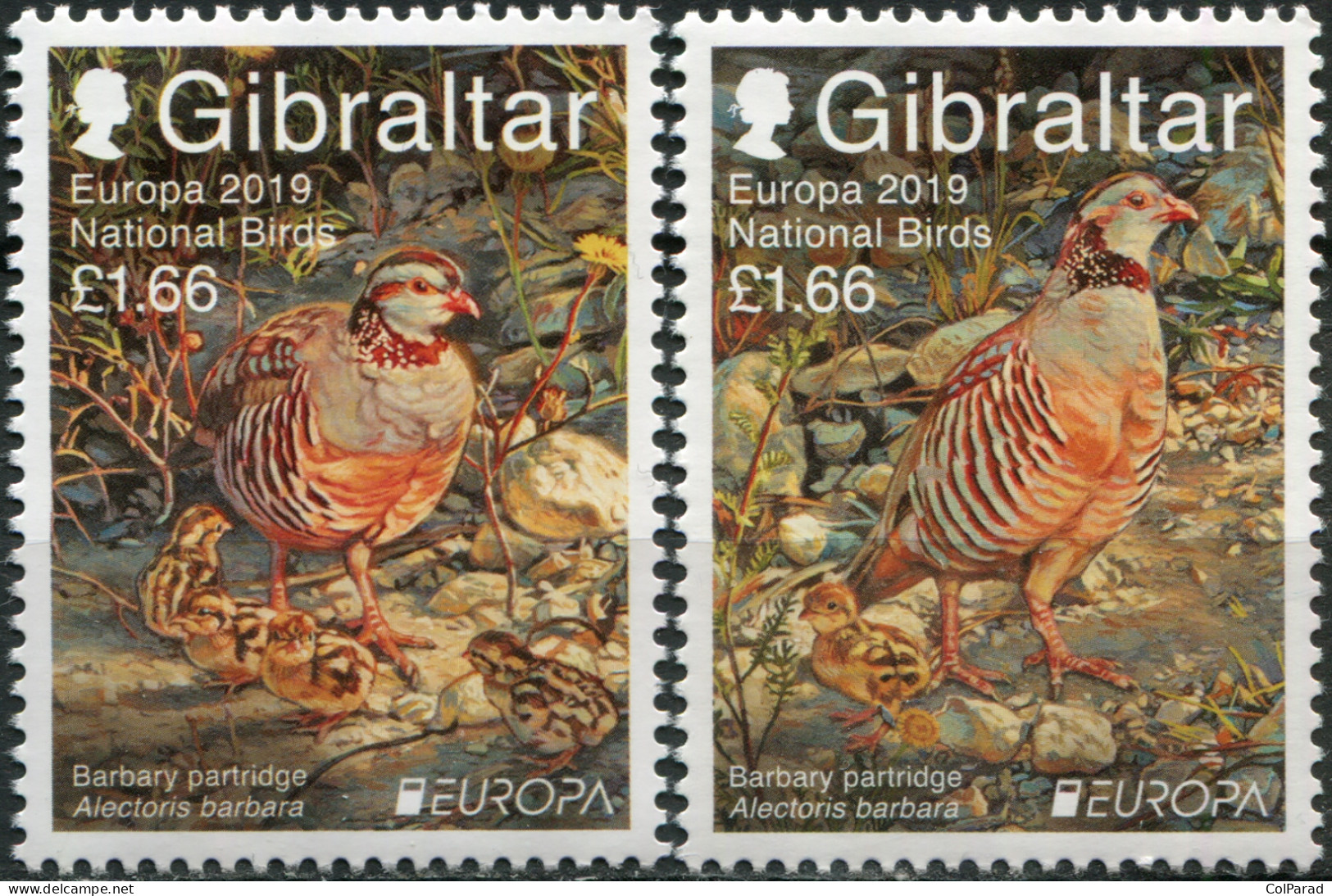 GIBRALTAR - 2019 - SET OF 2 STAMPS MNH ** - National Birds - Gibraltar