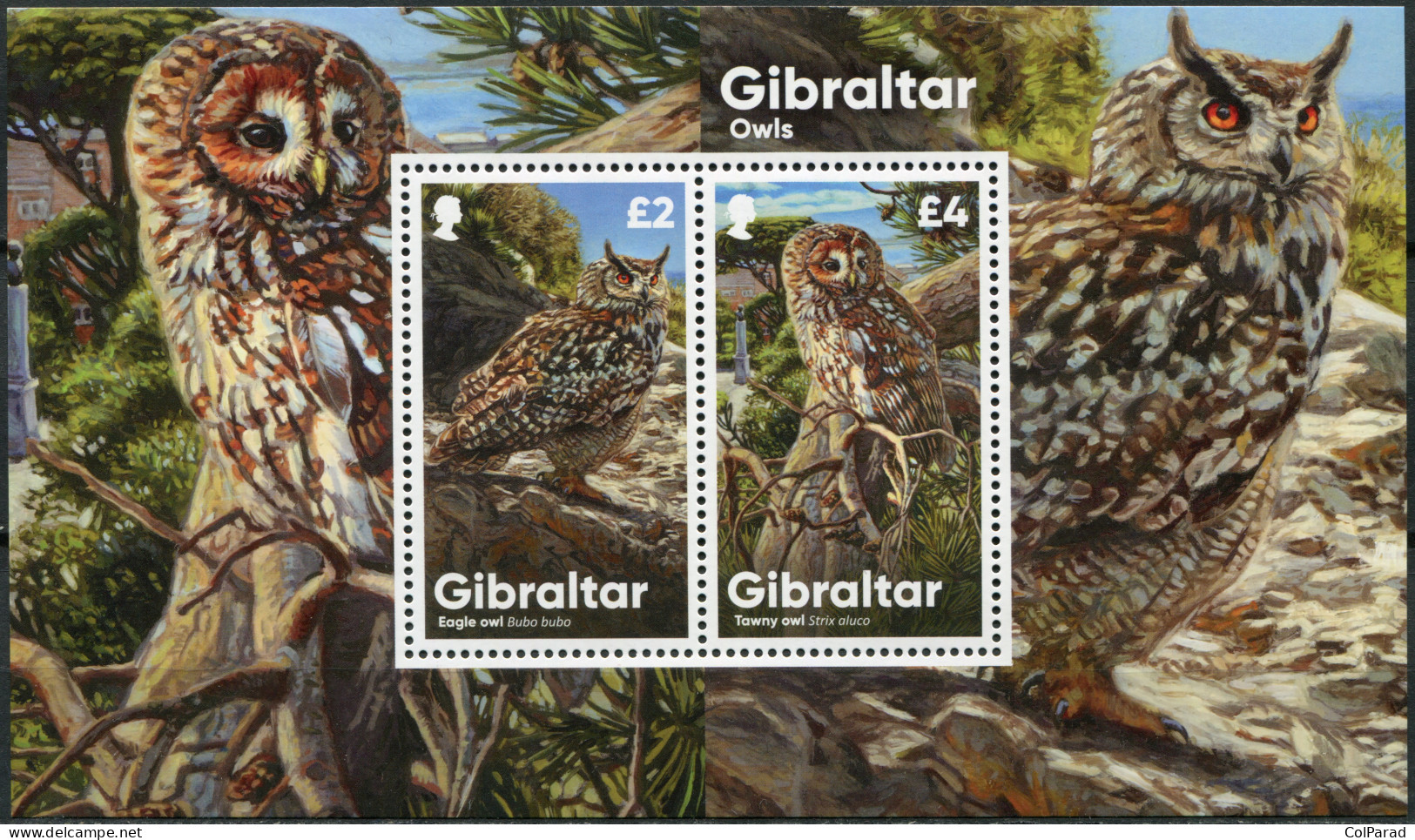 GIBRALTAR - 2020 - SOUVENIR SHEET MNH ** - Owls - Gibraltar