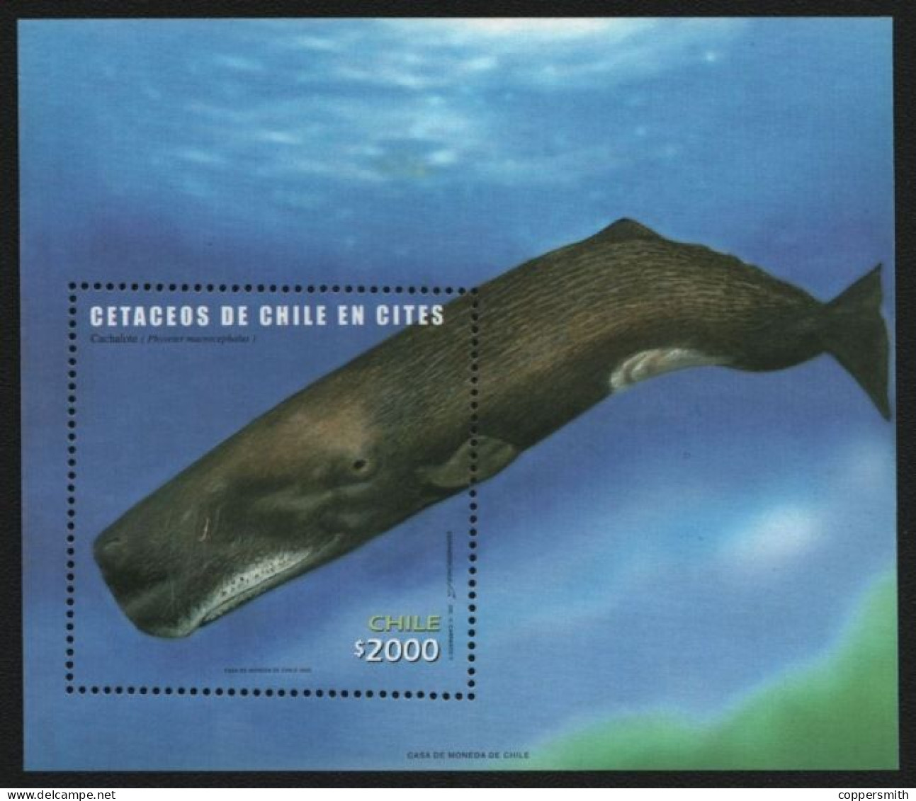 (046) Chile / Chili  / Fauna / Animals / Whales Sheet / Bf / Bloc / Baleines / Wale   ** / Mnh  Michel BL 56 - Chili