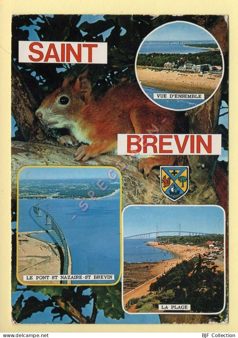 44. SAINT-BREVIN - Multivues - Blason - Ecureuil (voir Scan Recto/verso) - Saint-Brevin-l'Océan