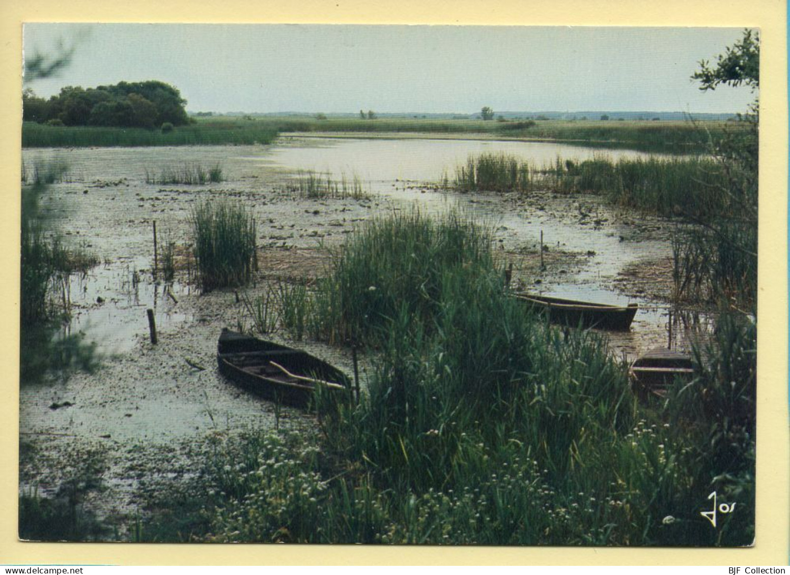 44. LA BRIERE – Les Chalands Sur Les Bords D'une Pillarde (voir Scan Recto/verso) - Saint-Joachim