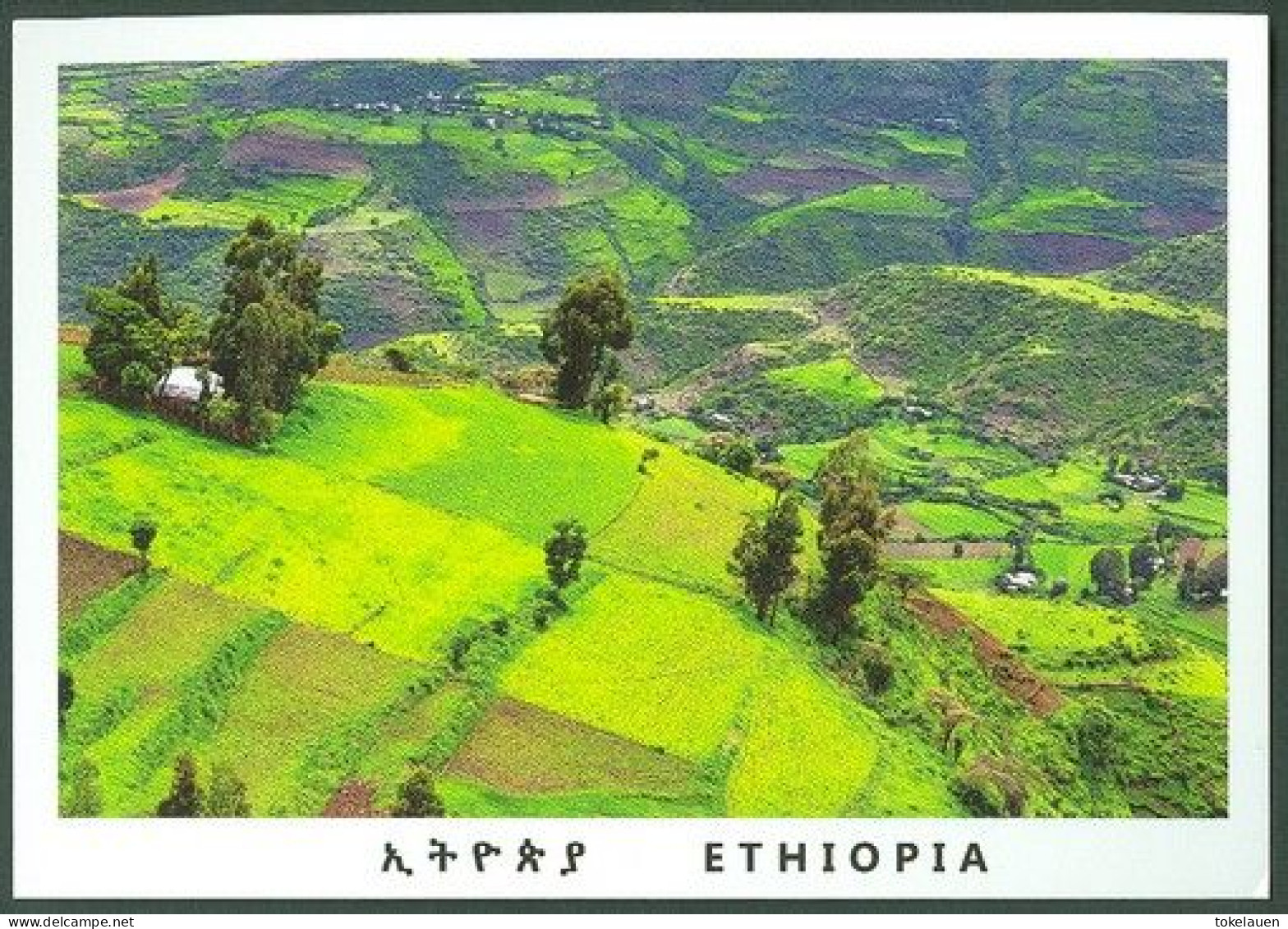 Ethiopia Africa Afrique - Äthiopien