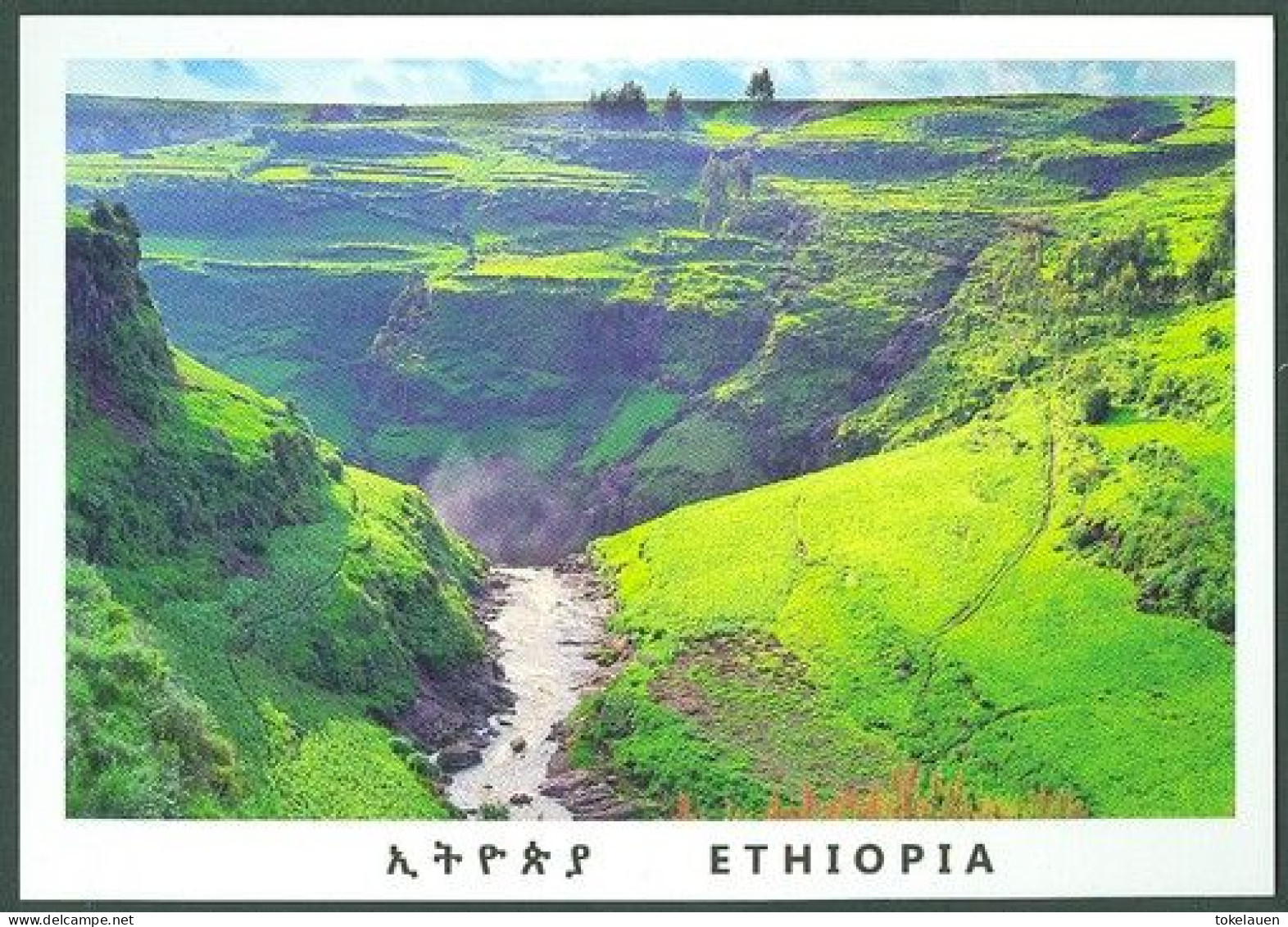 Ethiopia Africa Afrique - Etiopia