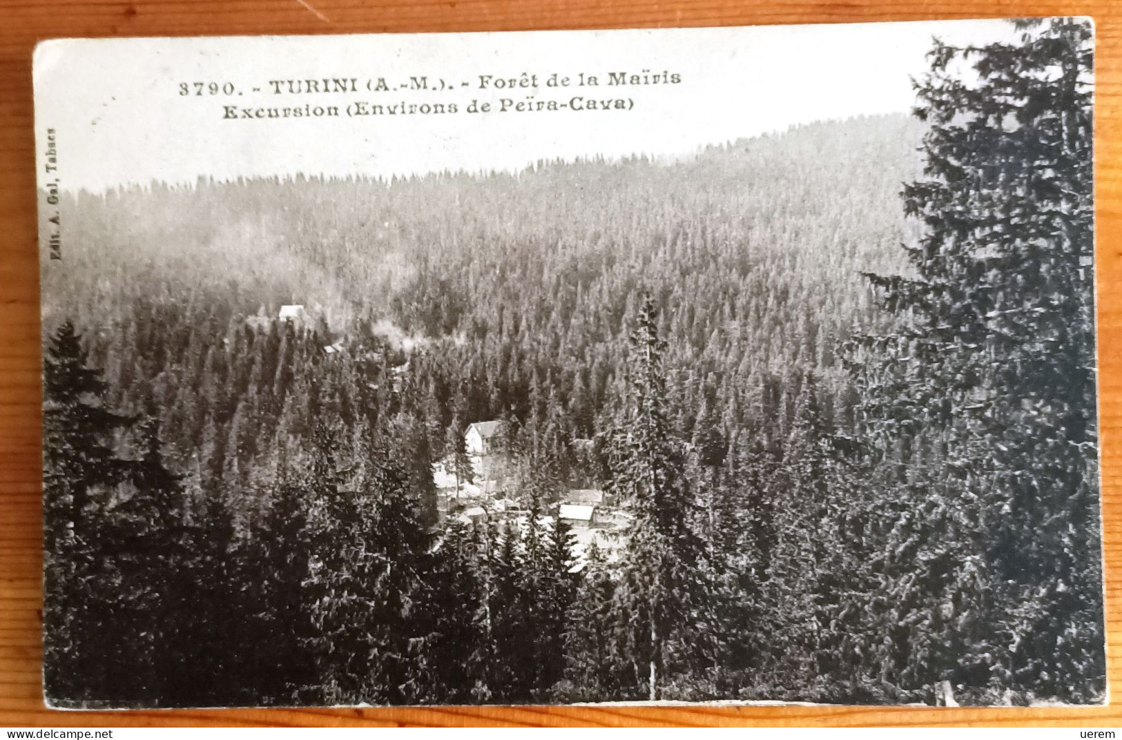 VARIE FRANCIA TURINI (A.M.) FORET DE LA MAIRIS Formato Piccolo Viaggiata 1927 - Condizioni Buone - Lantosque