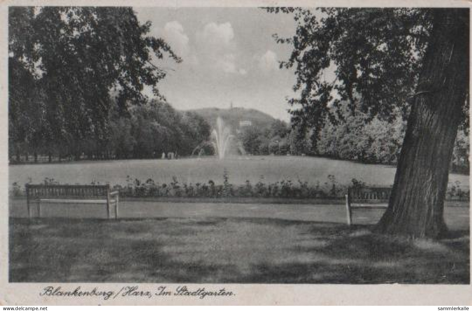 13636 - Blankenburg Harz - Stadtgarten - Ca. 1955 - Blankenburg