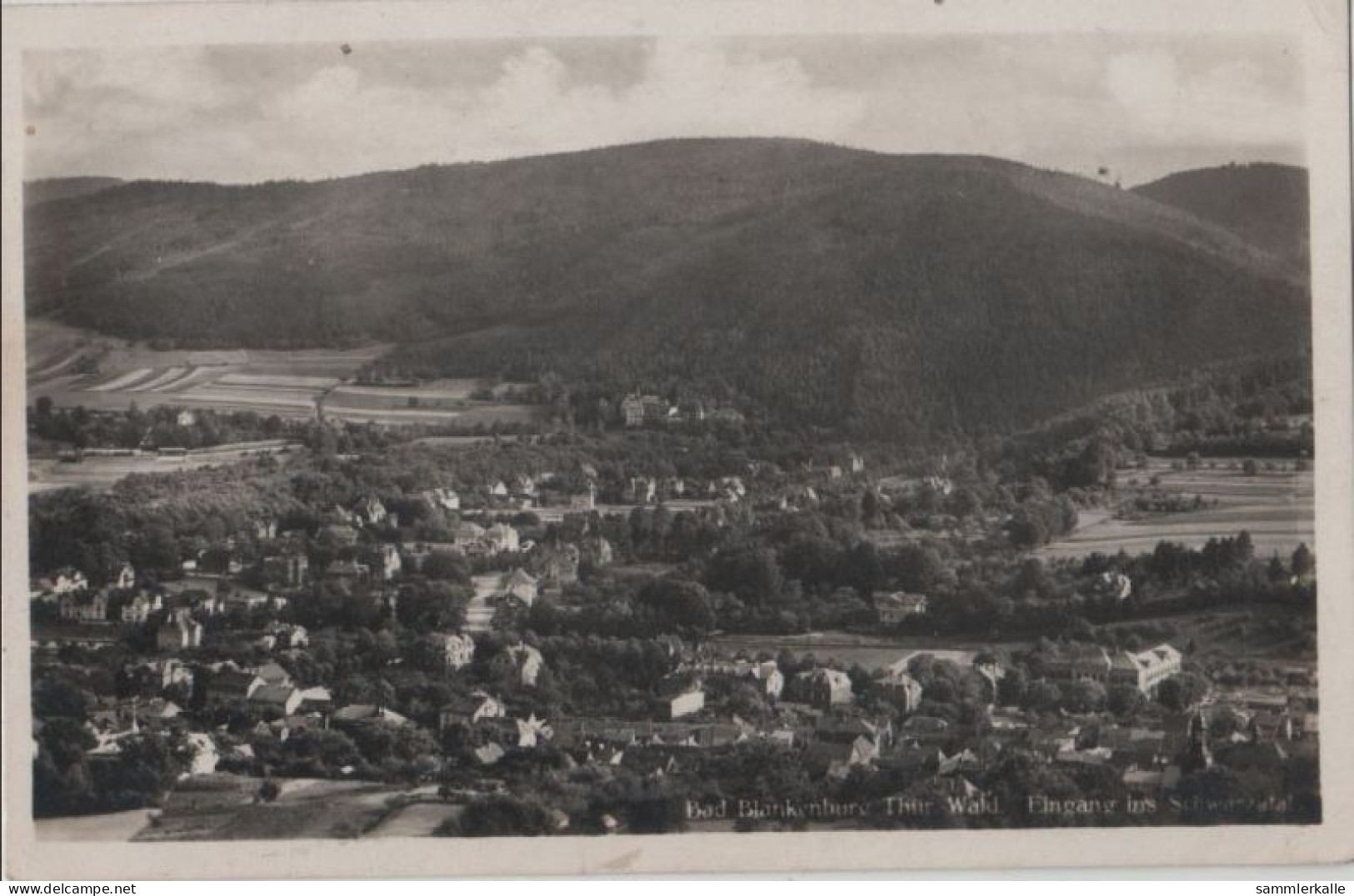 71768 - Bad Blankenburg - Eingang Ins Schwarzatal - Ca. 1930 - Bad Blankenburg