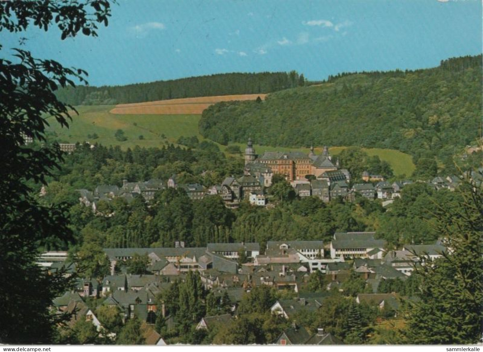 108346 - Bad Berleburg - Blick Auf Das Schloss - Bad Berleburg