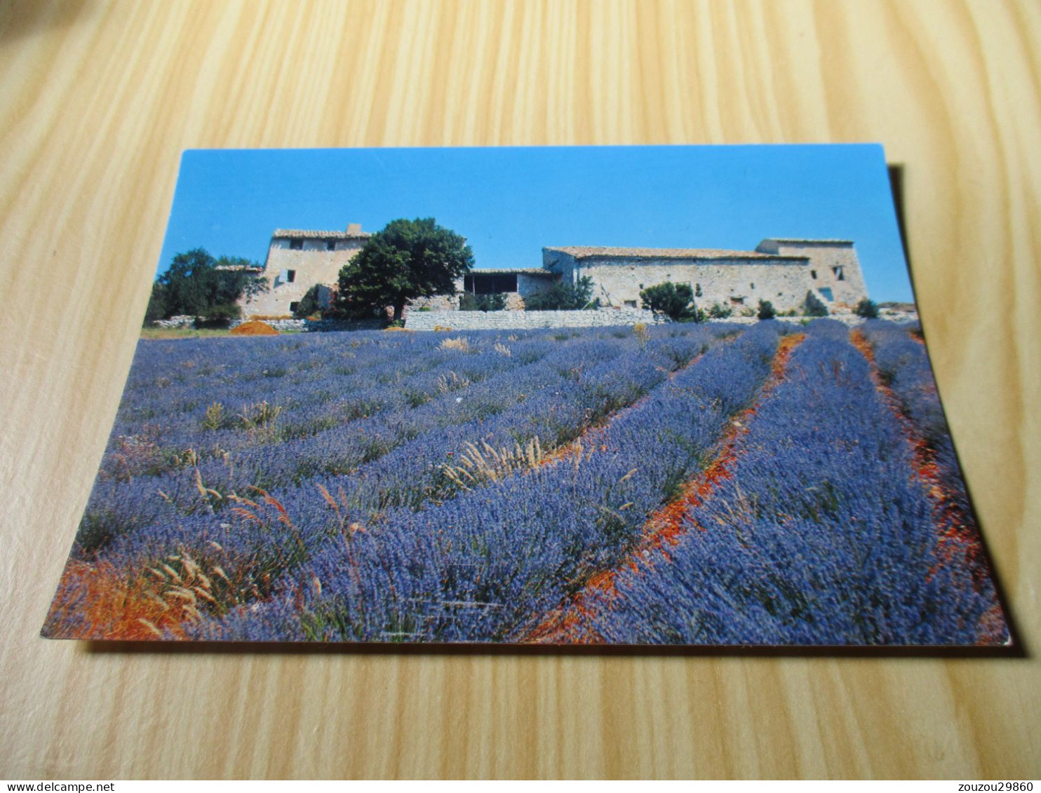 Les Belles Images De Provence - Vieux Mas Et Son Champ De Lavandes. - Provence-Alpes-Côte D'Azur