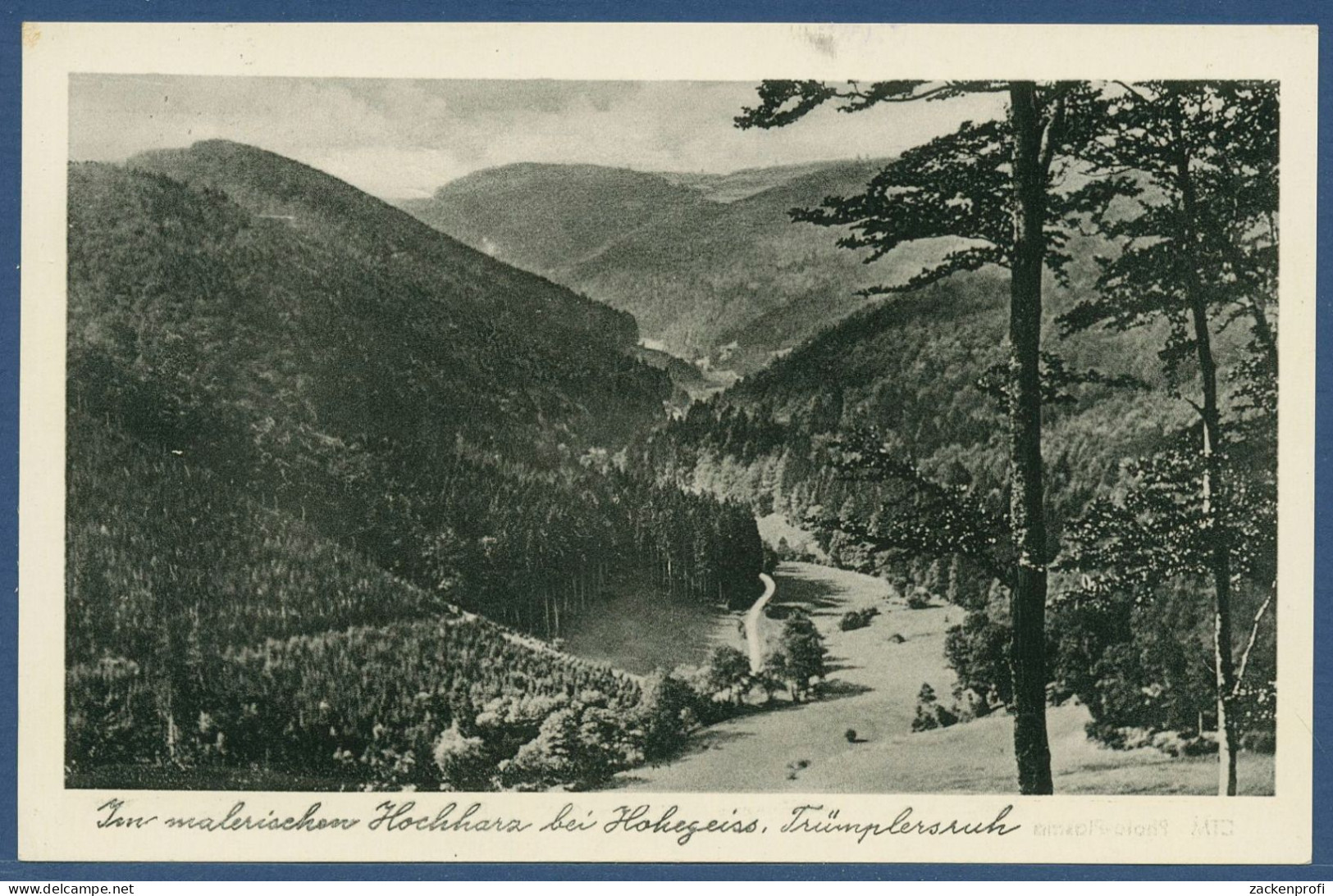 Im Hochharz Bei Hohegeiß Trümplersruh, Gelaufen 1953 (AK4375) - Braunlage