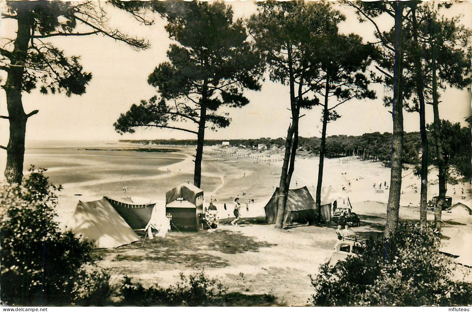 44* ST BREVIN   L Anse Du Pointeau – Camping  (CPSM Format 9x14cm)       RL24,0513 - Saint-Brevin-l'Océan