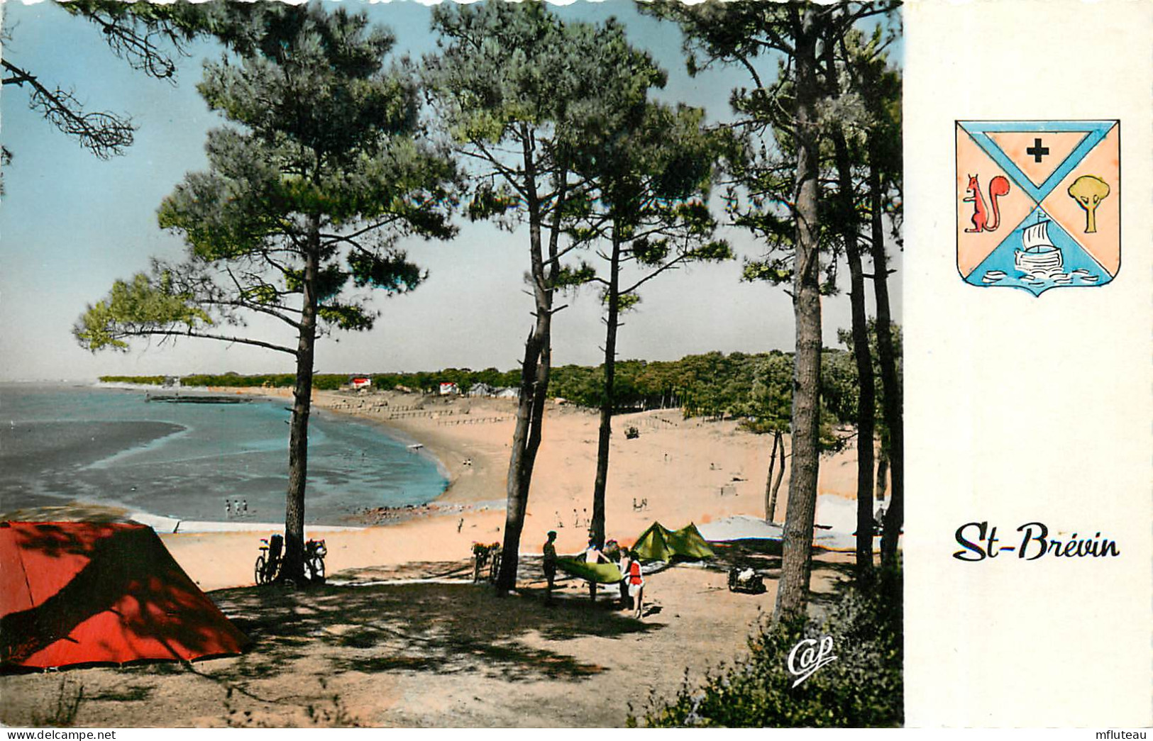 44* ST BREVIN  La Plage Et Les Pins (CPSM Format 9x14cm)    RL24,0527 - Saint-Brevin-l'Océan