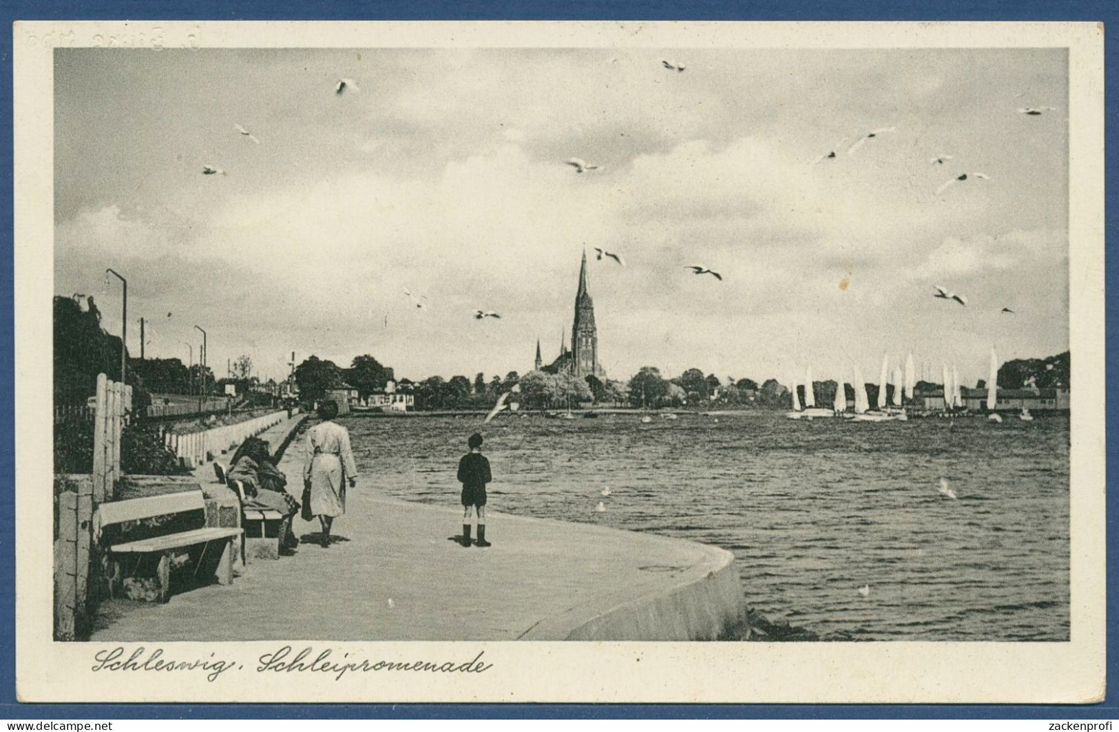 Schleswig Schleipromenade, Gelaufen 1953 (AK4300) - Schleswig