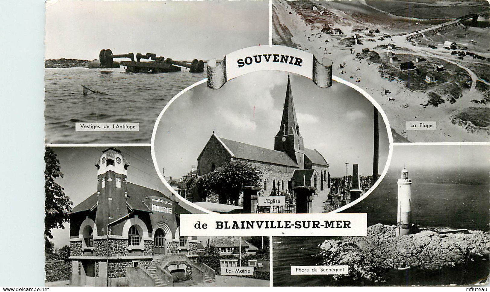 50* BLAINVILLE S/MER    Multivues  (CPSM Format 9x14cm)   RL24,1565 - Blainville Sur Mer