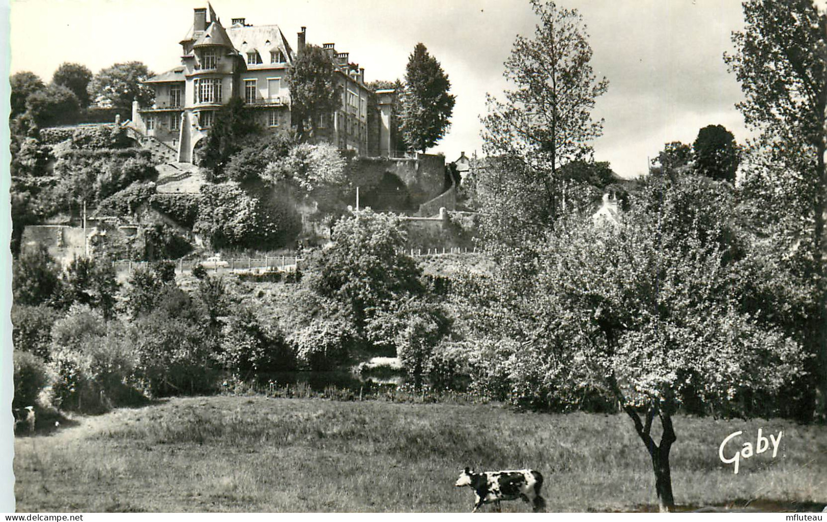 53* AMBRIERES LE GRAND   Hotel De Ville  (CPSM Format 9x14cm)    RL24,2115 - Ambrieres Les Vallees