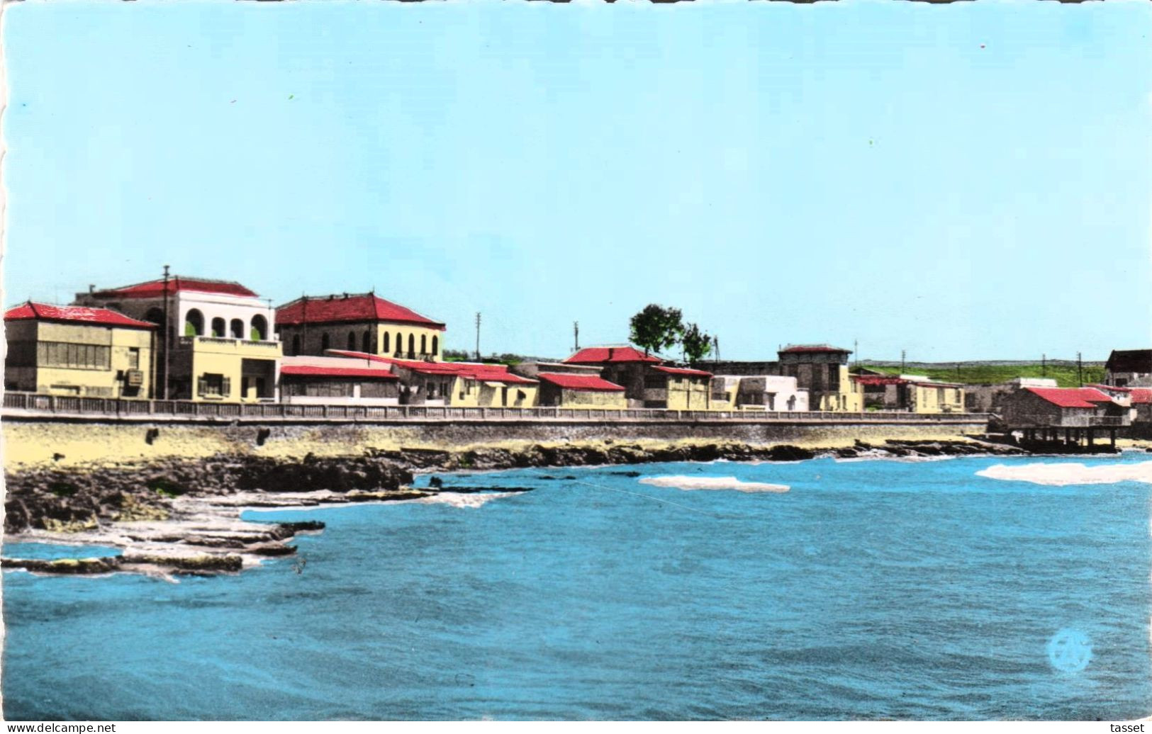 Algérie  - Mostaganem   : La Salamandre  Le Boulevard Du Bord De Mer  Et Les Villas - Mostaganem