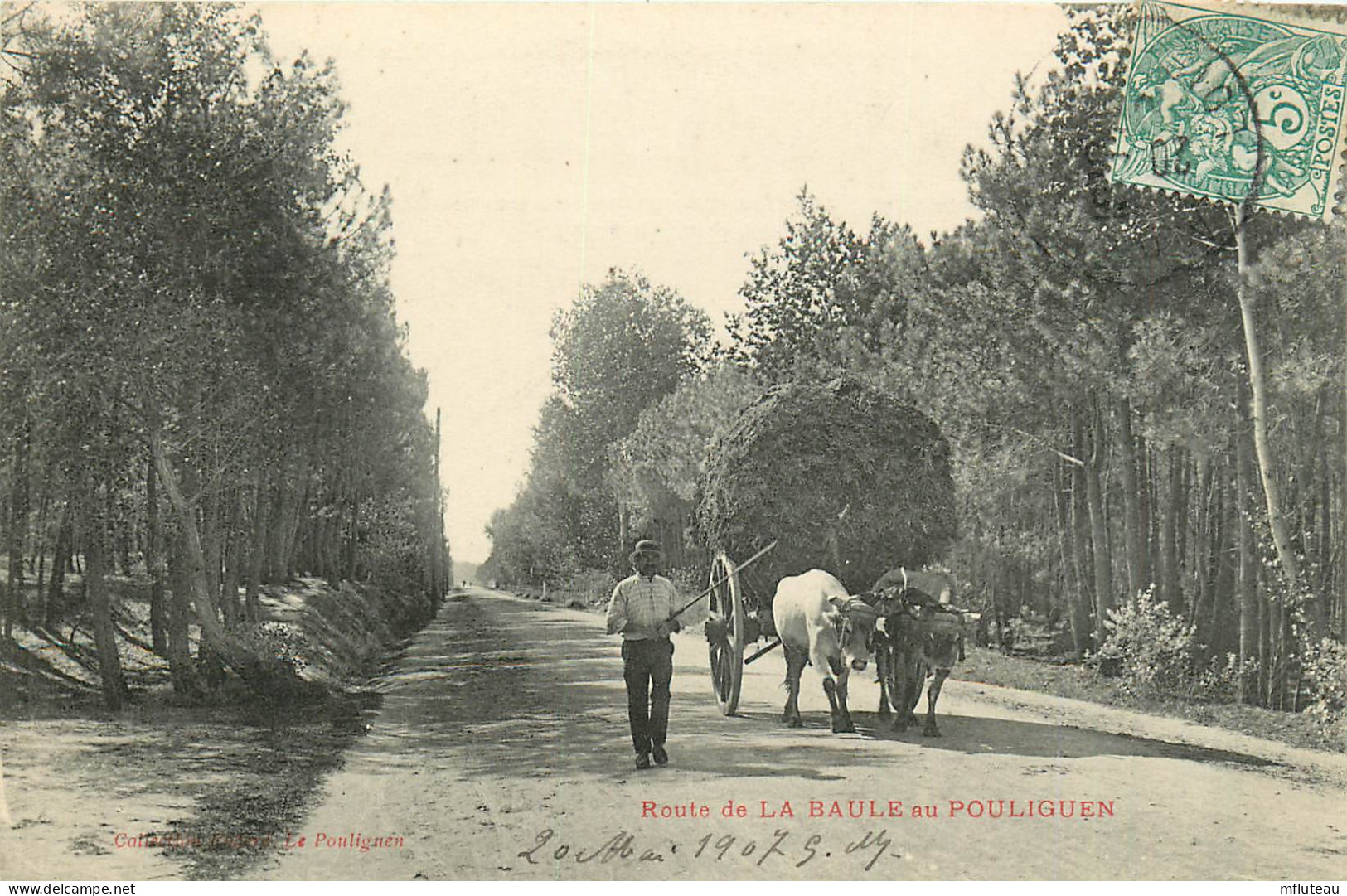 44* LA BAULE  Au Pouliguen -  Attelage De Bœufs   RL41,0163 - Attelages