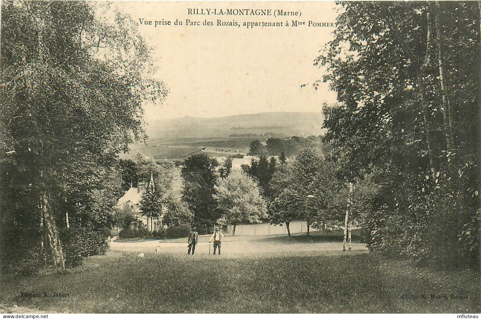 51* RILLY LA MONTAGNE    Vue Prise Du Parc Des Rozais  RL41,0892 - Rilly-la-Montagne