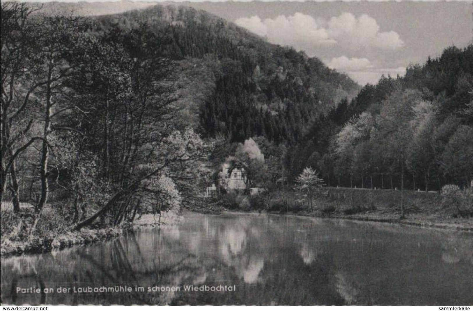 69183 - Ehlscheid - Partie An Der Laubachmühle - 1960 - Neuwied