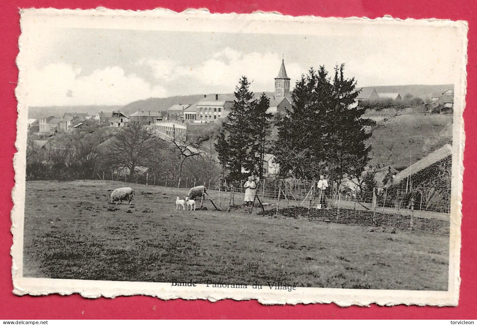 C.P. Bande  =  Panorama  Du  Village - Nassogne
