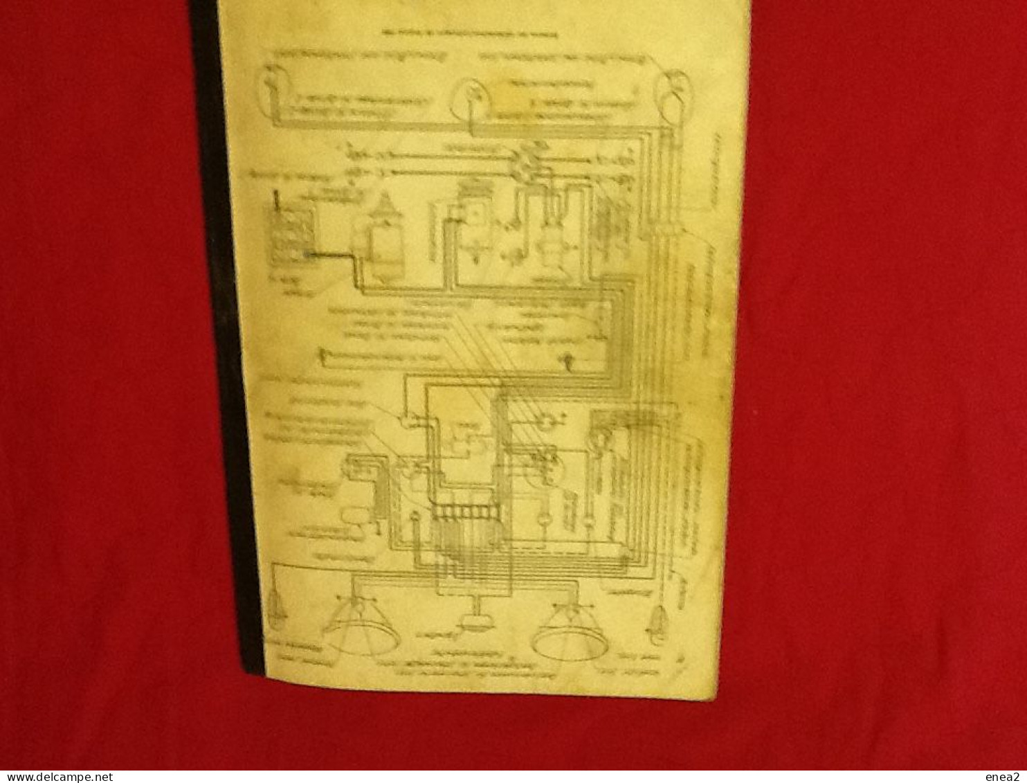 VOLKSWAGEN Maggiolone -Manuale tecnico/riparazione anni 60