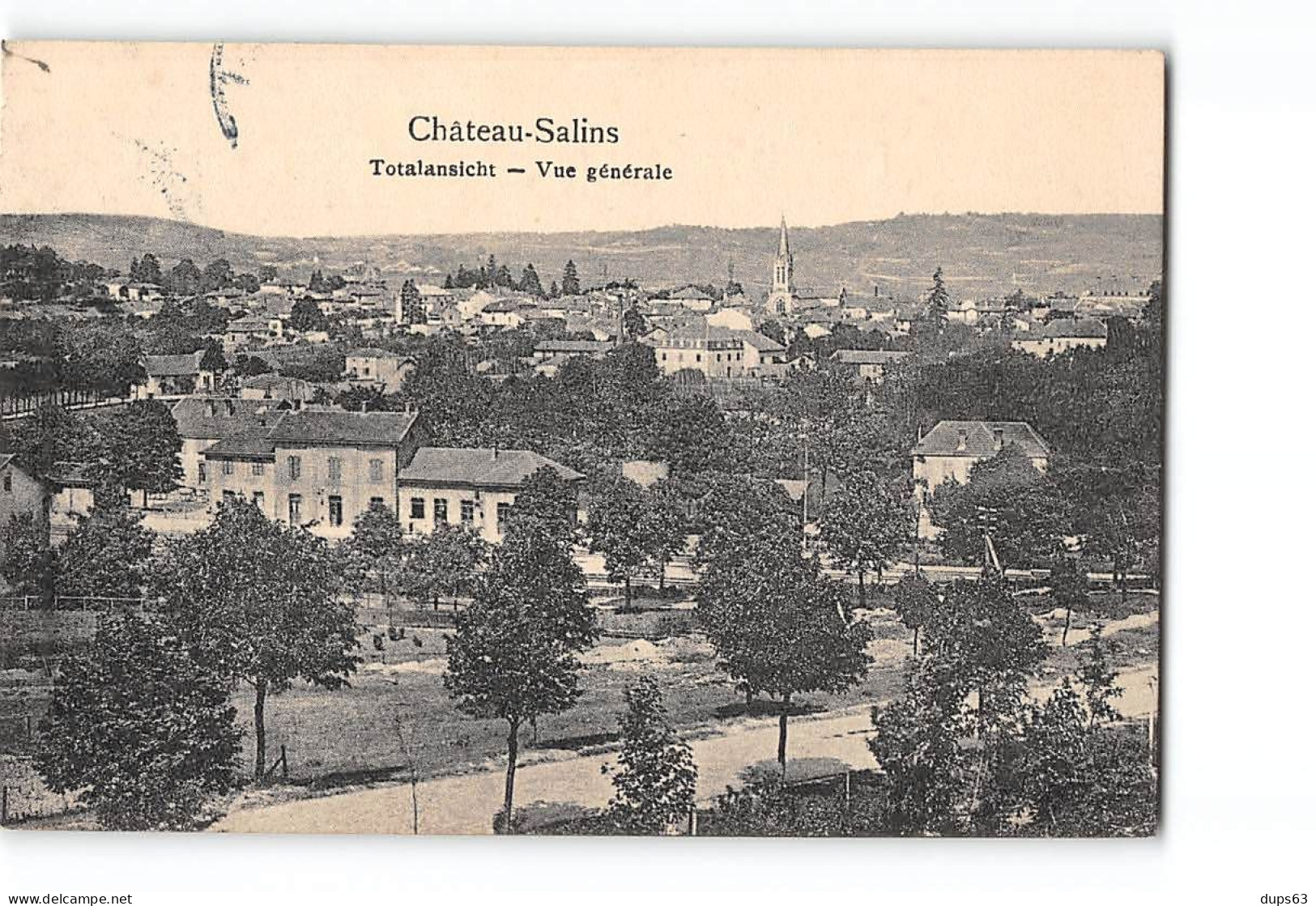 CHATEAU SALINS - Vue Générale - Très Bon état - Chateau Salins