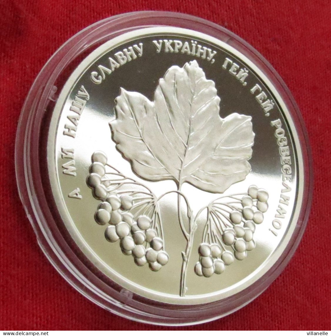 Ukraine Ucrania 5 Hryvni 2022 Red Viburnum UNC ºº - Ukraine