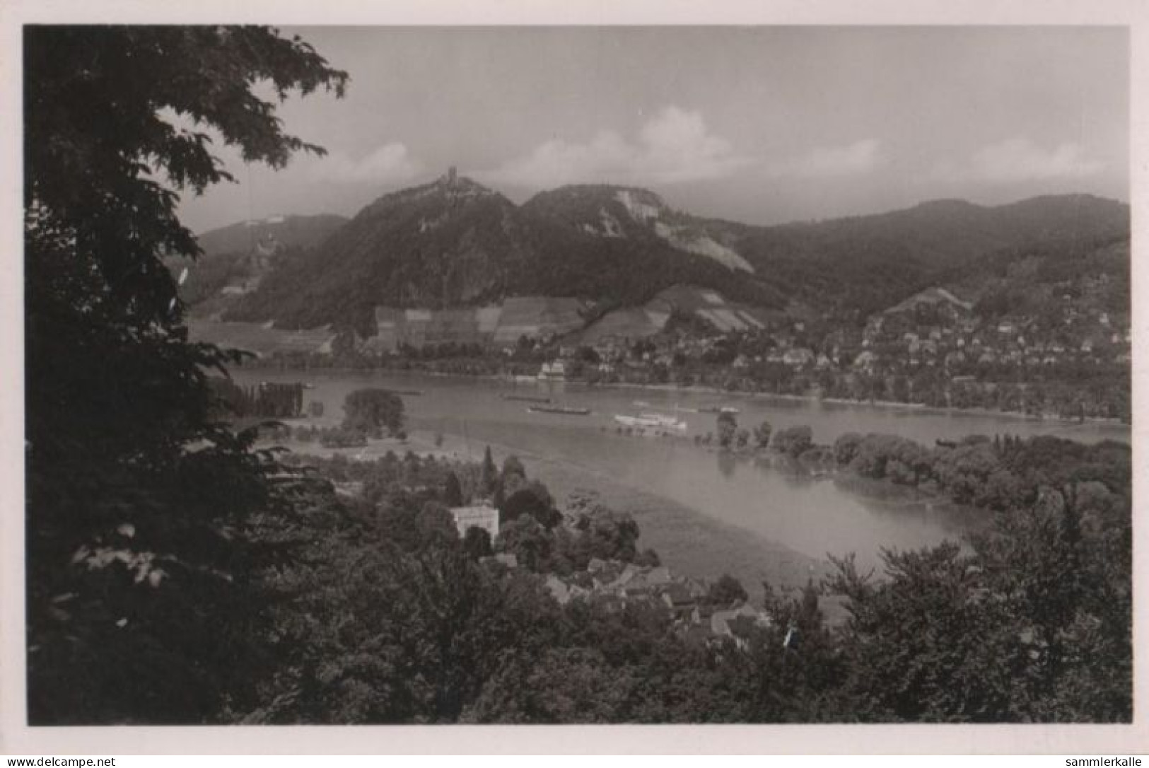 59633 - Drachenfels - Blick über Den Rhein - Ca. 1955 - Drachenfels
